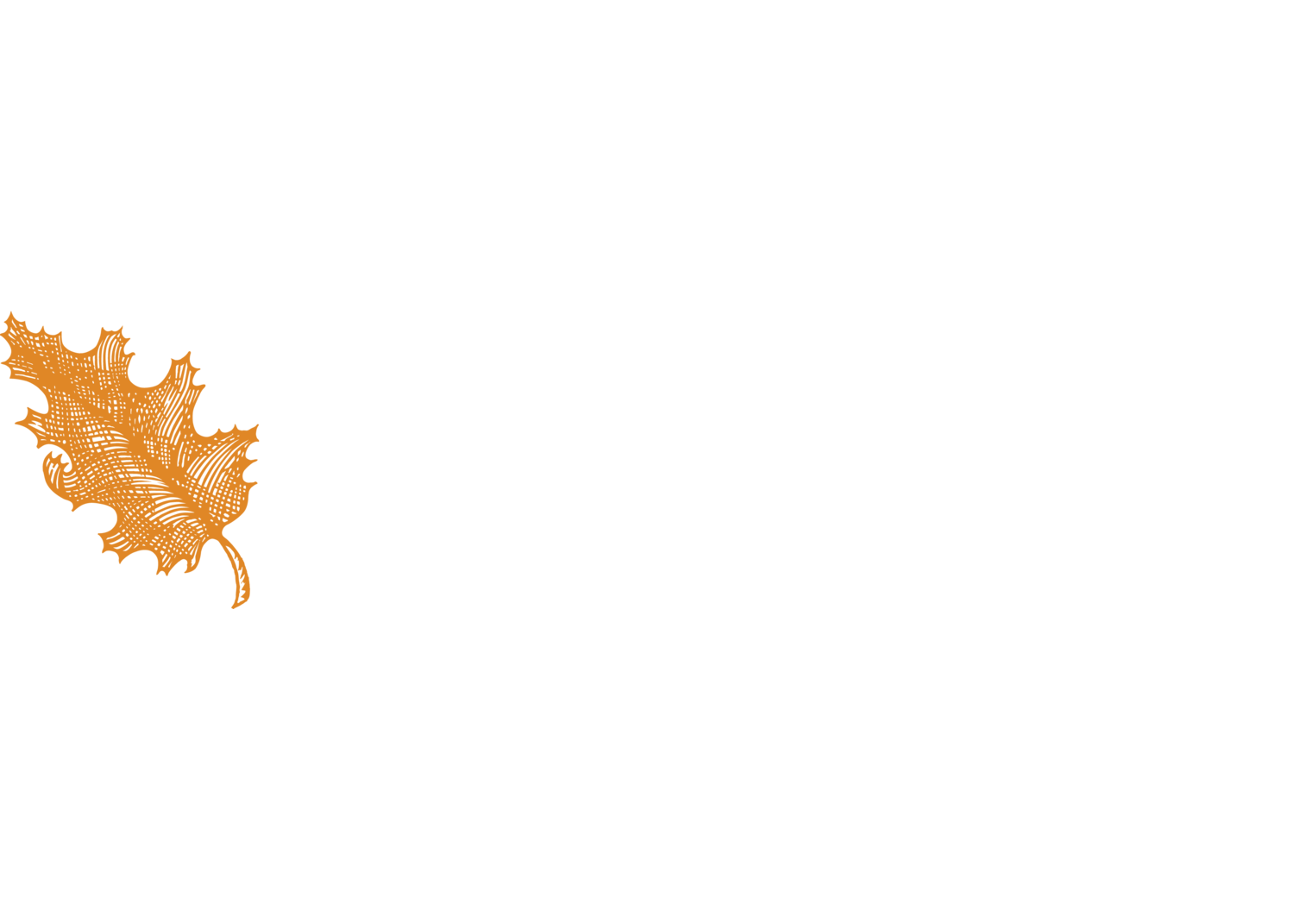 GMS Receives Grant from Portland Parks Foundation for Midsummer Night’s Dream Machine