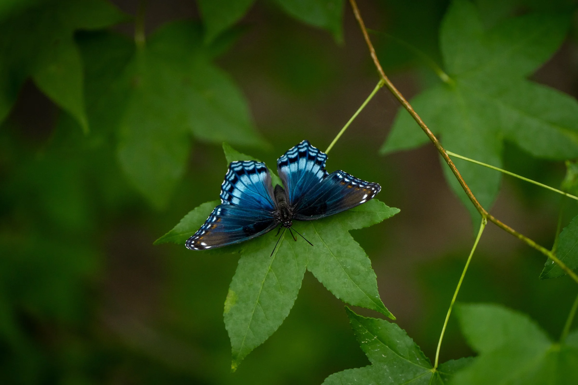 2025 Selects Downsized-19.jpg