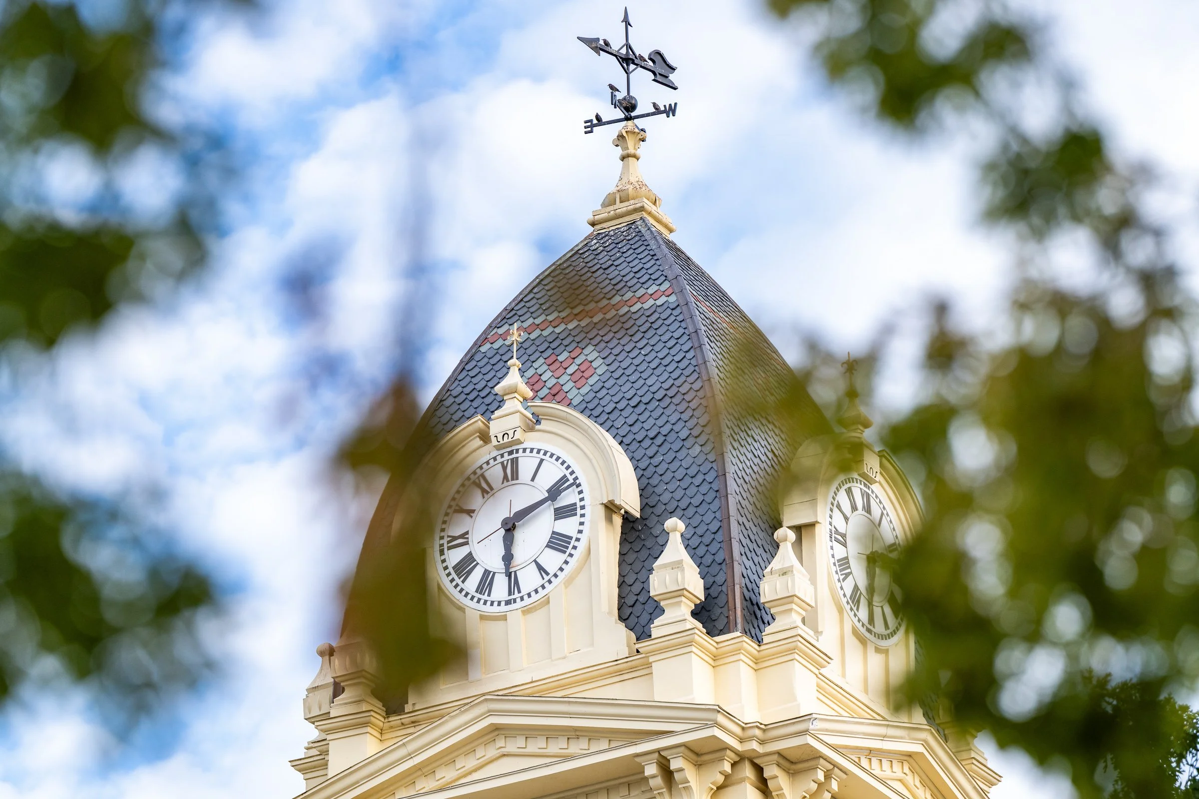 2025 Selects Downsized-28.jpg