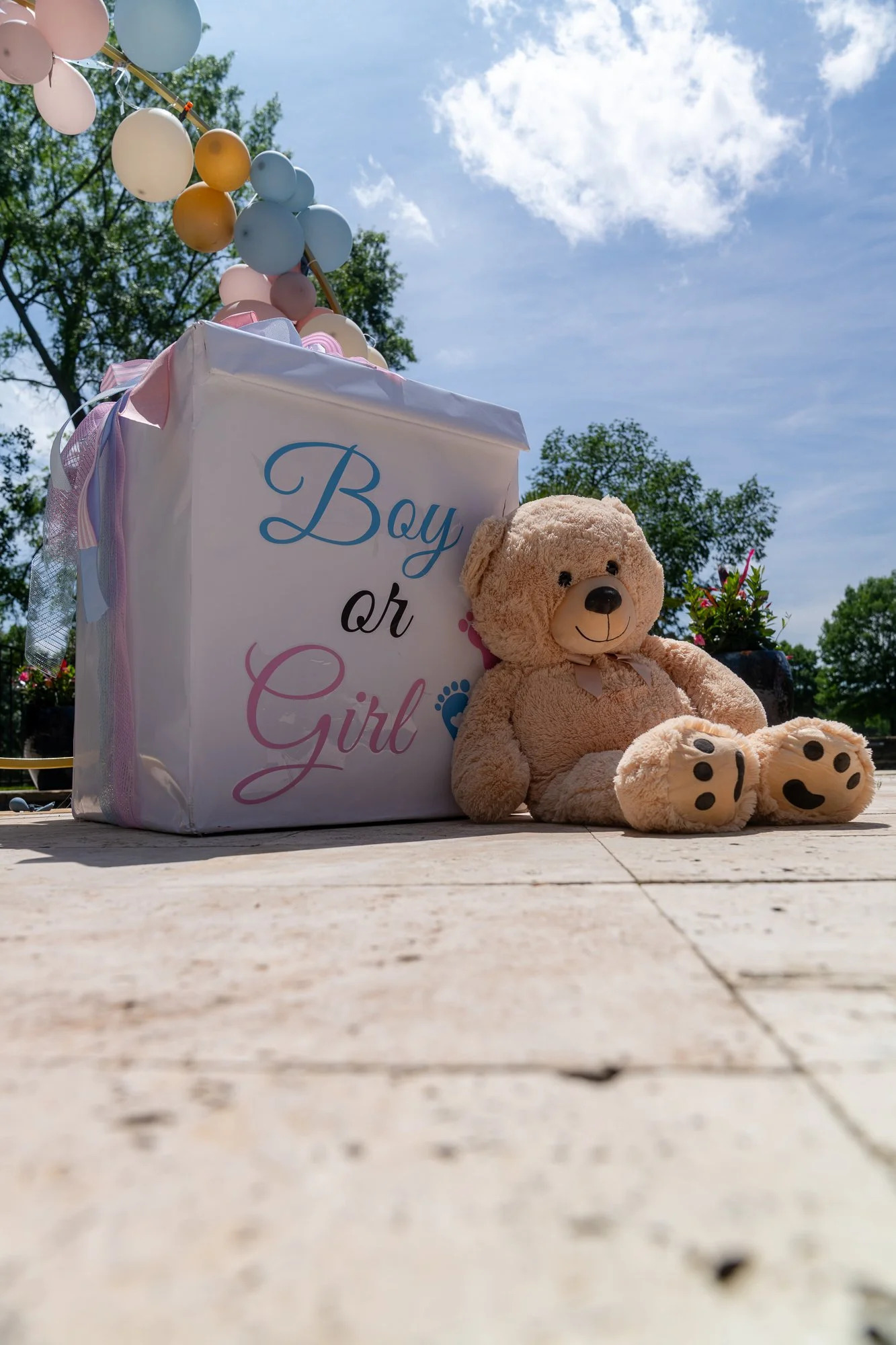 2025 Selects Downsized-35.jpg