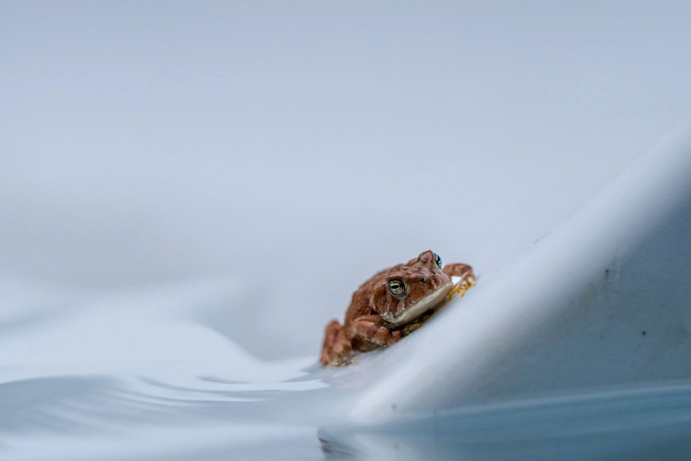 2025 Selects Downsized-20.jpg