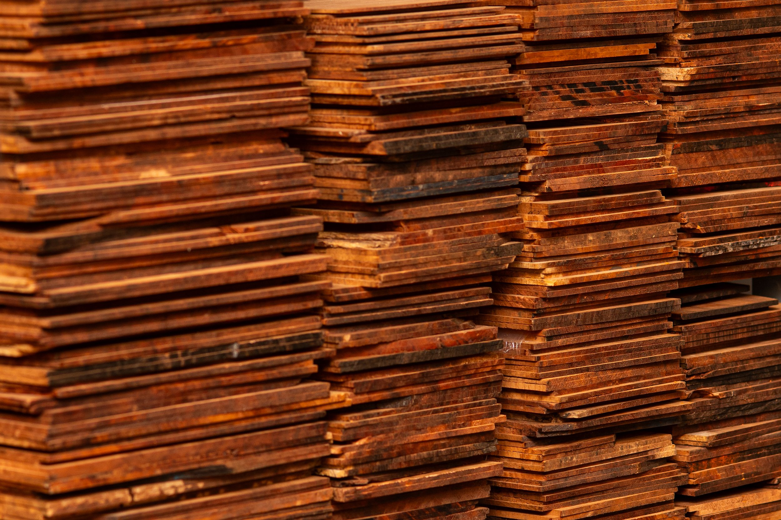 Michael Grady_20231008_47.jpg