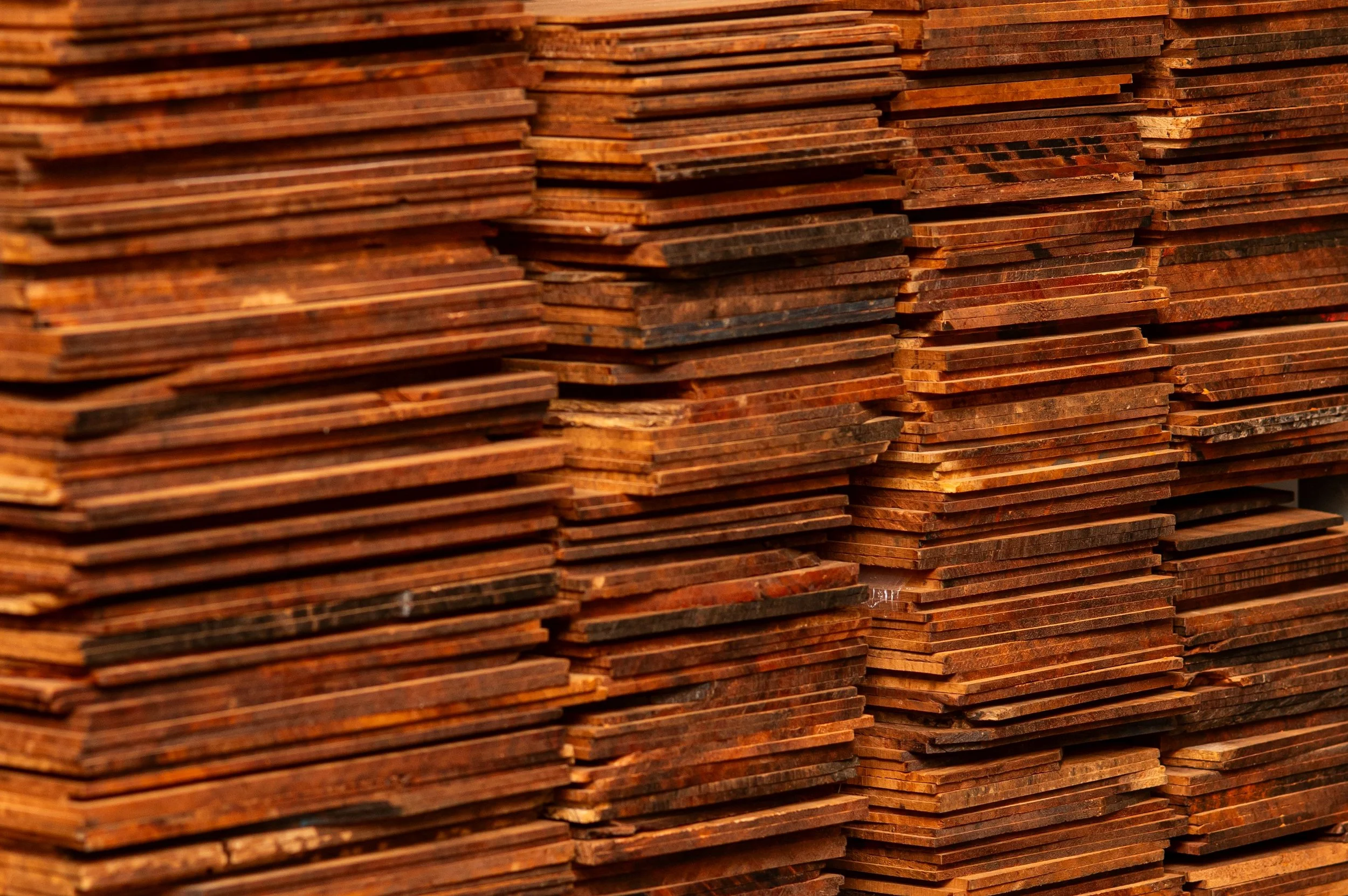 Michael Grady_20231008_47.jpg