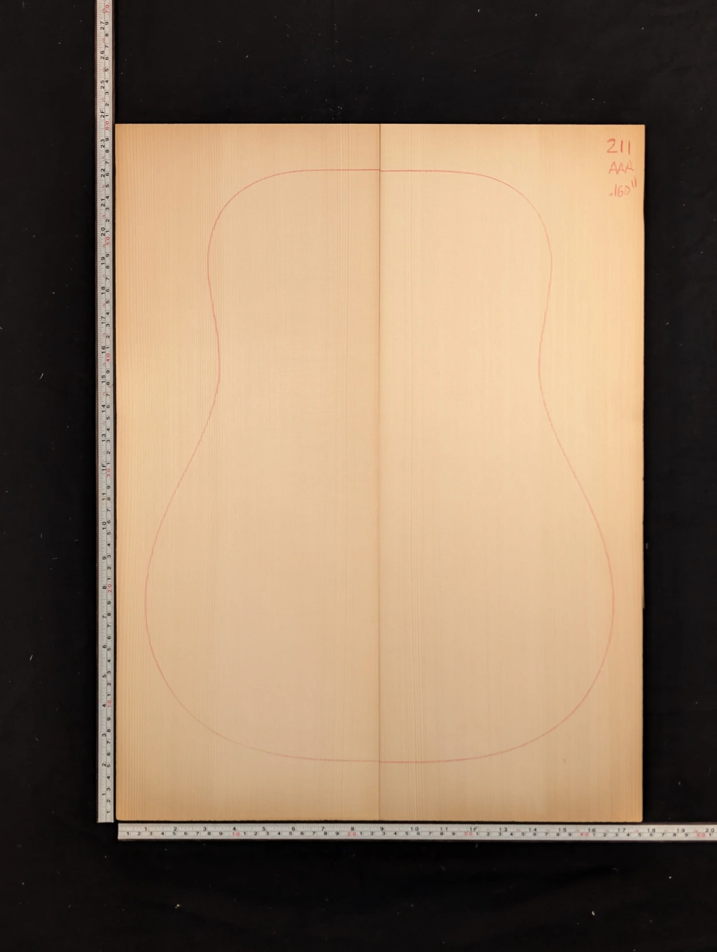 Carpathian Spruce 211