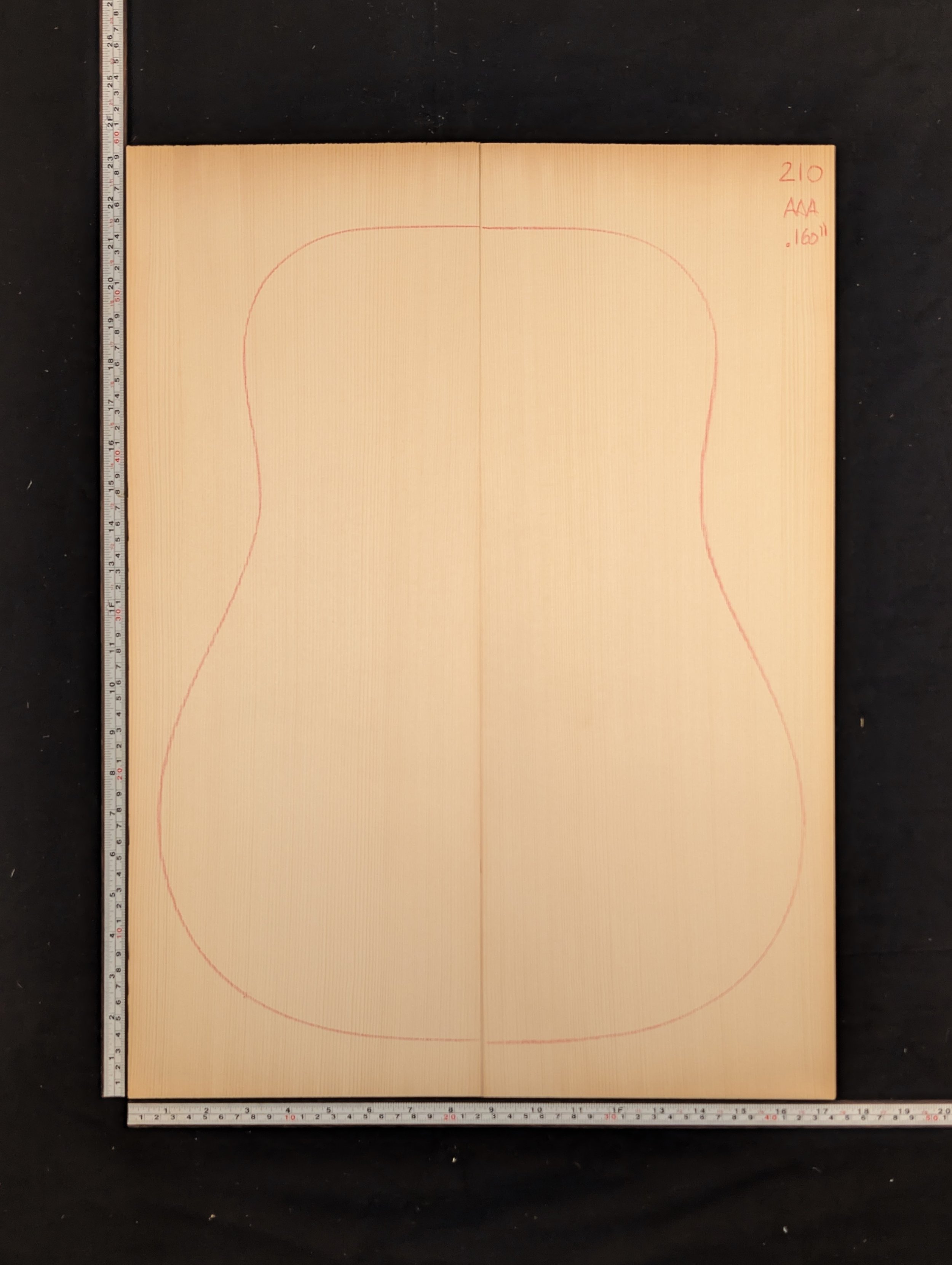 Carpathian Spruce 210