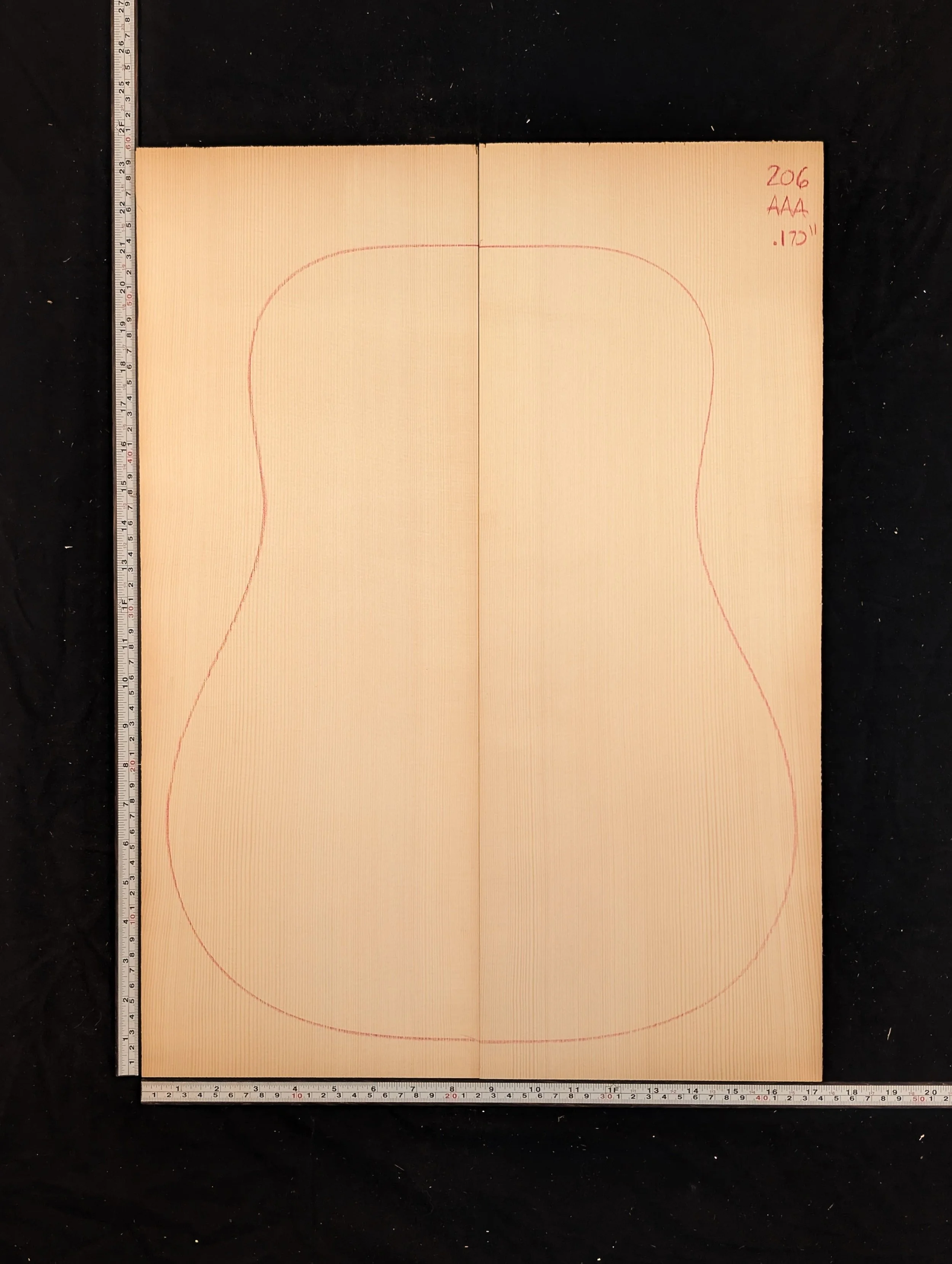 Carpathian Spruce 206