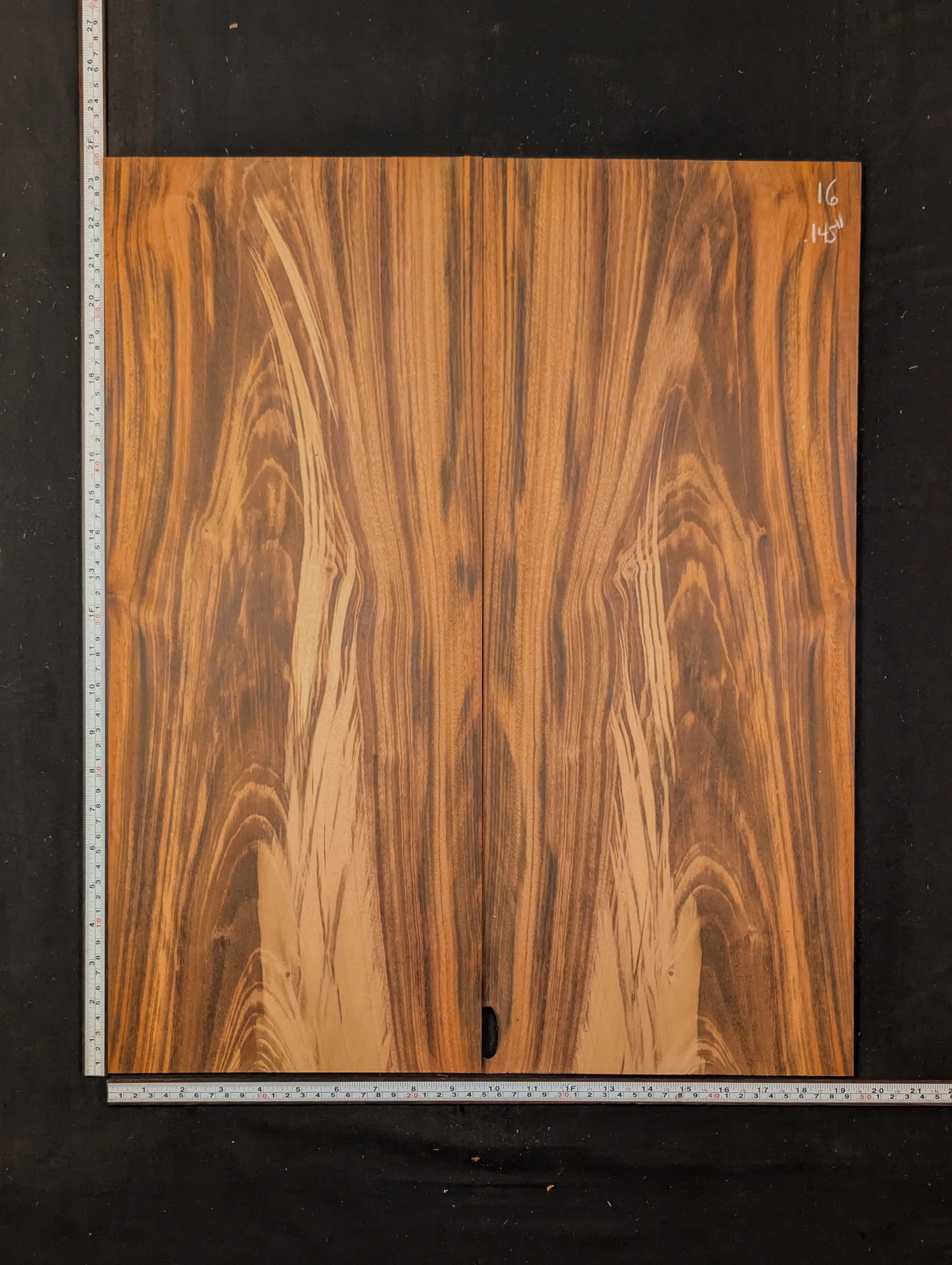 Goncalo Alves 16