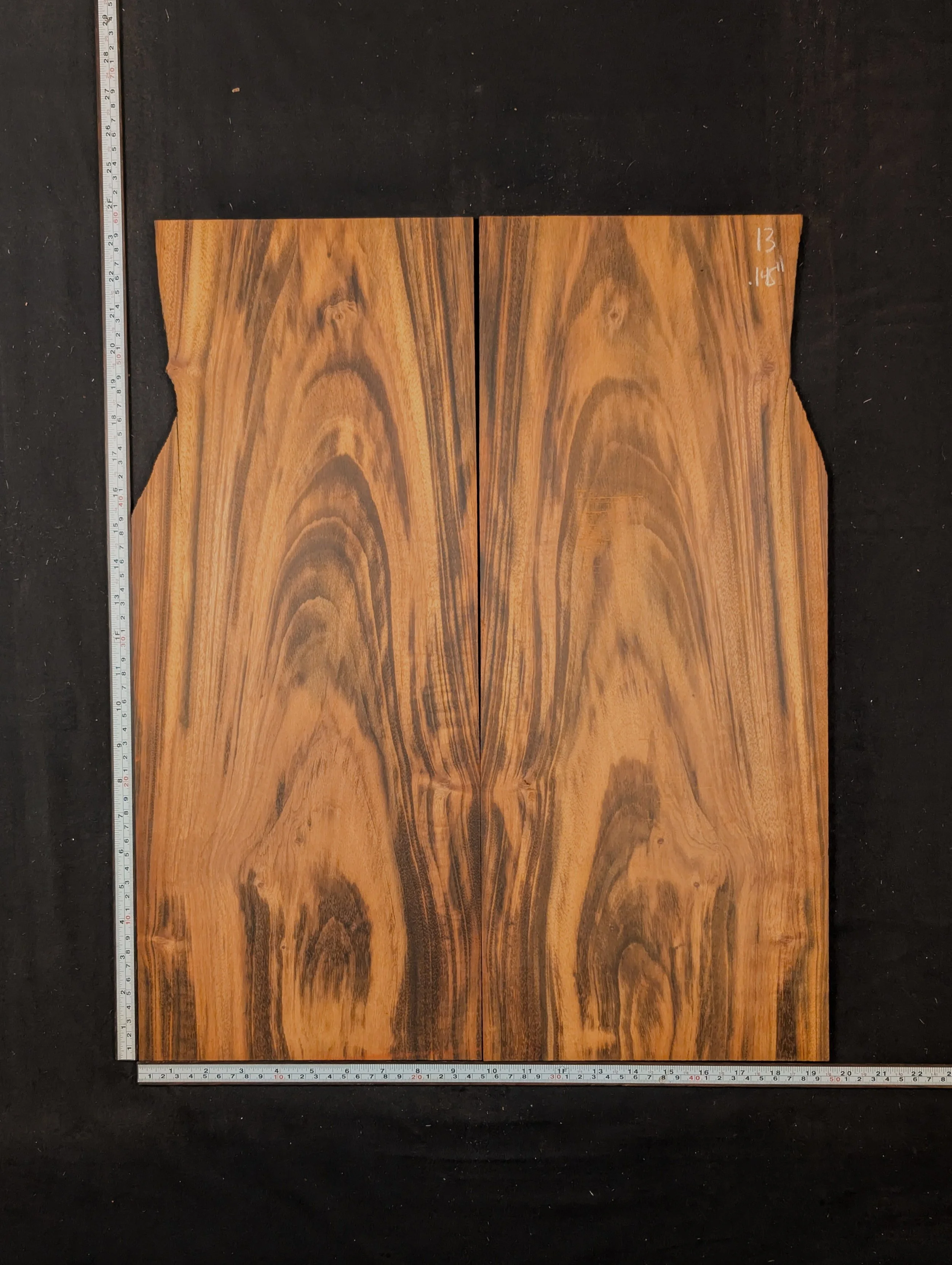 Goncalo Alves 13