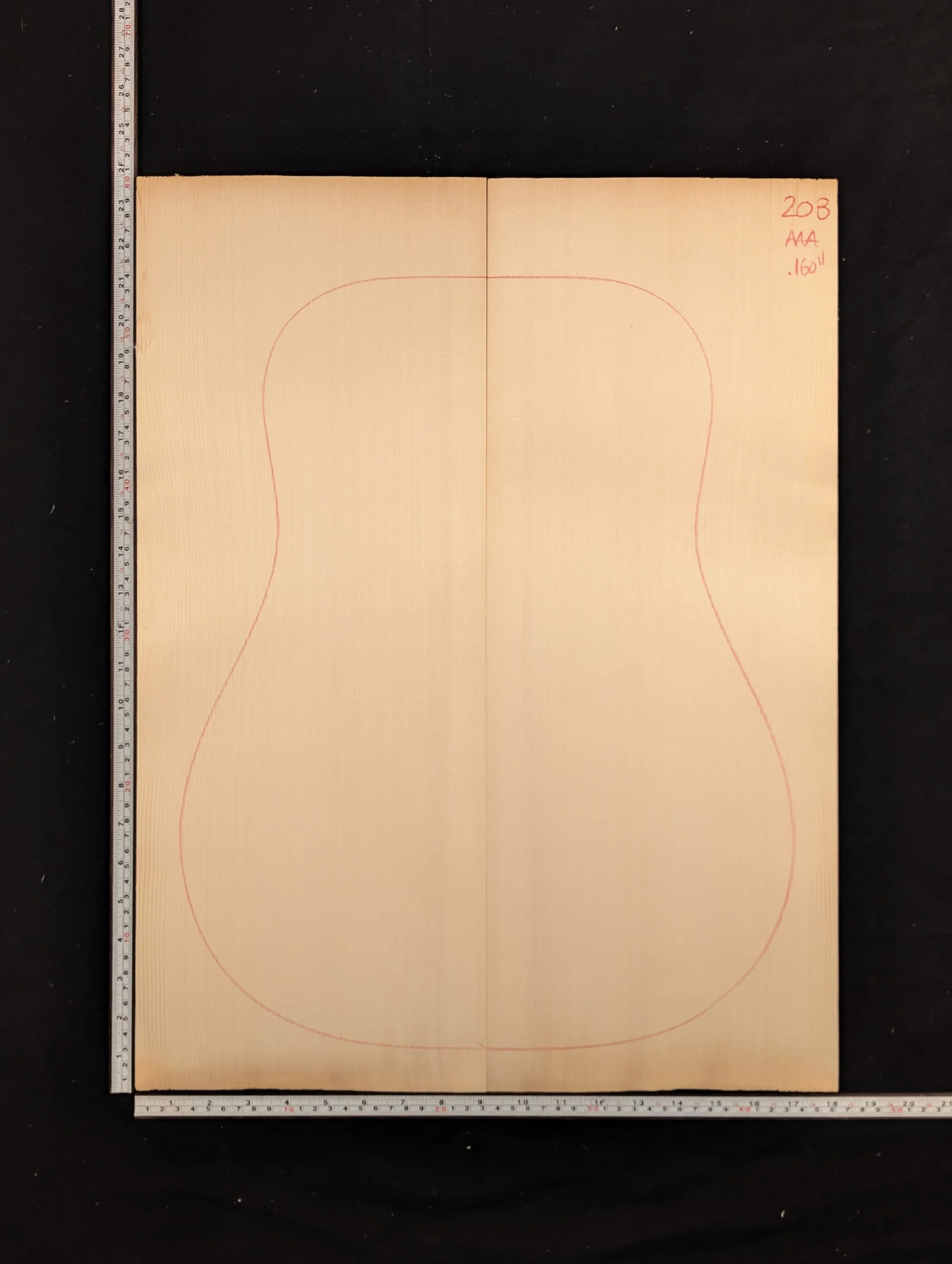 Carpathian Spruce 208