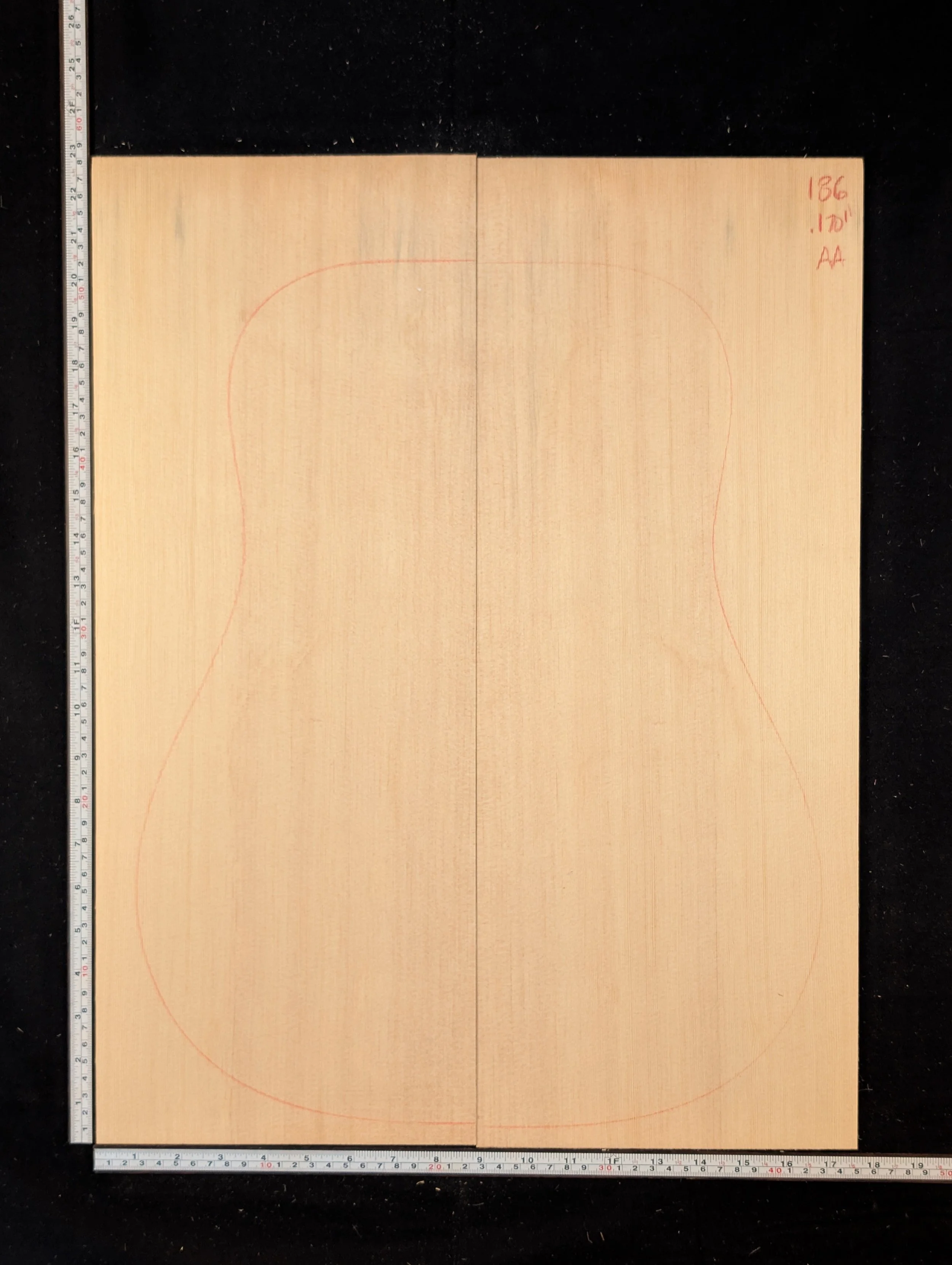 Sitka Spruce 186