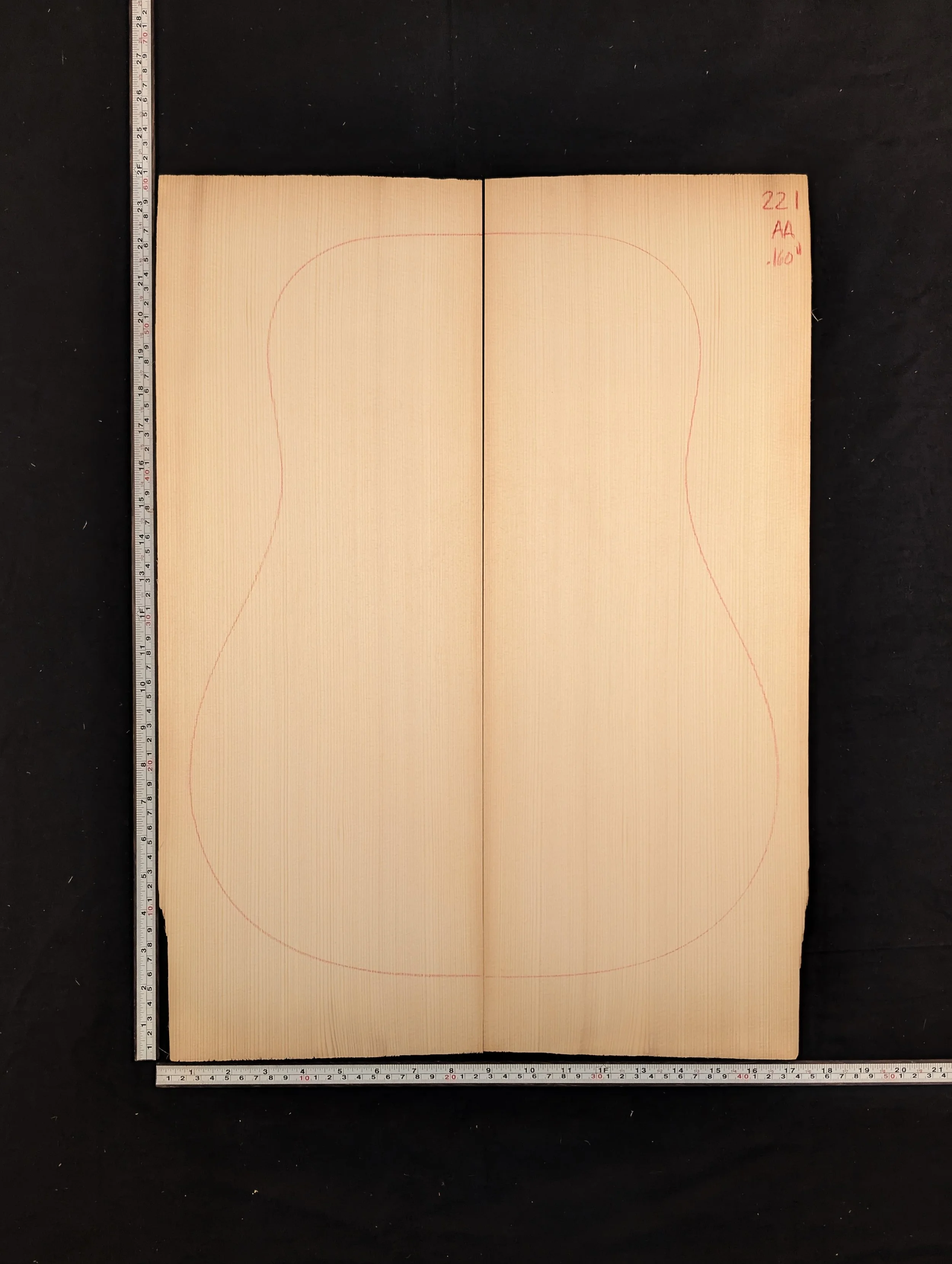 Carpathian Spruce 221