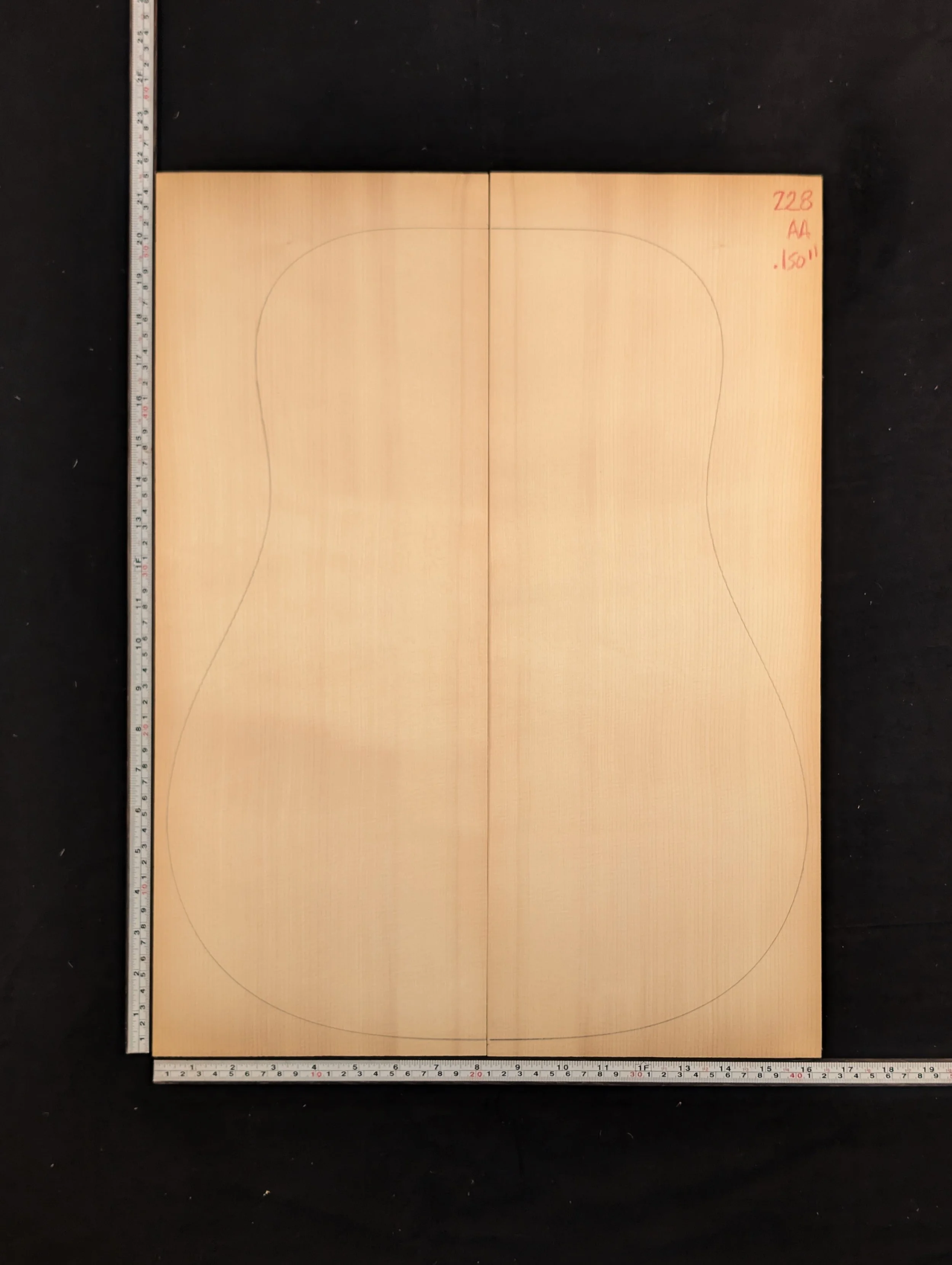 Carpathian Spruce 228