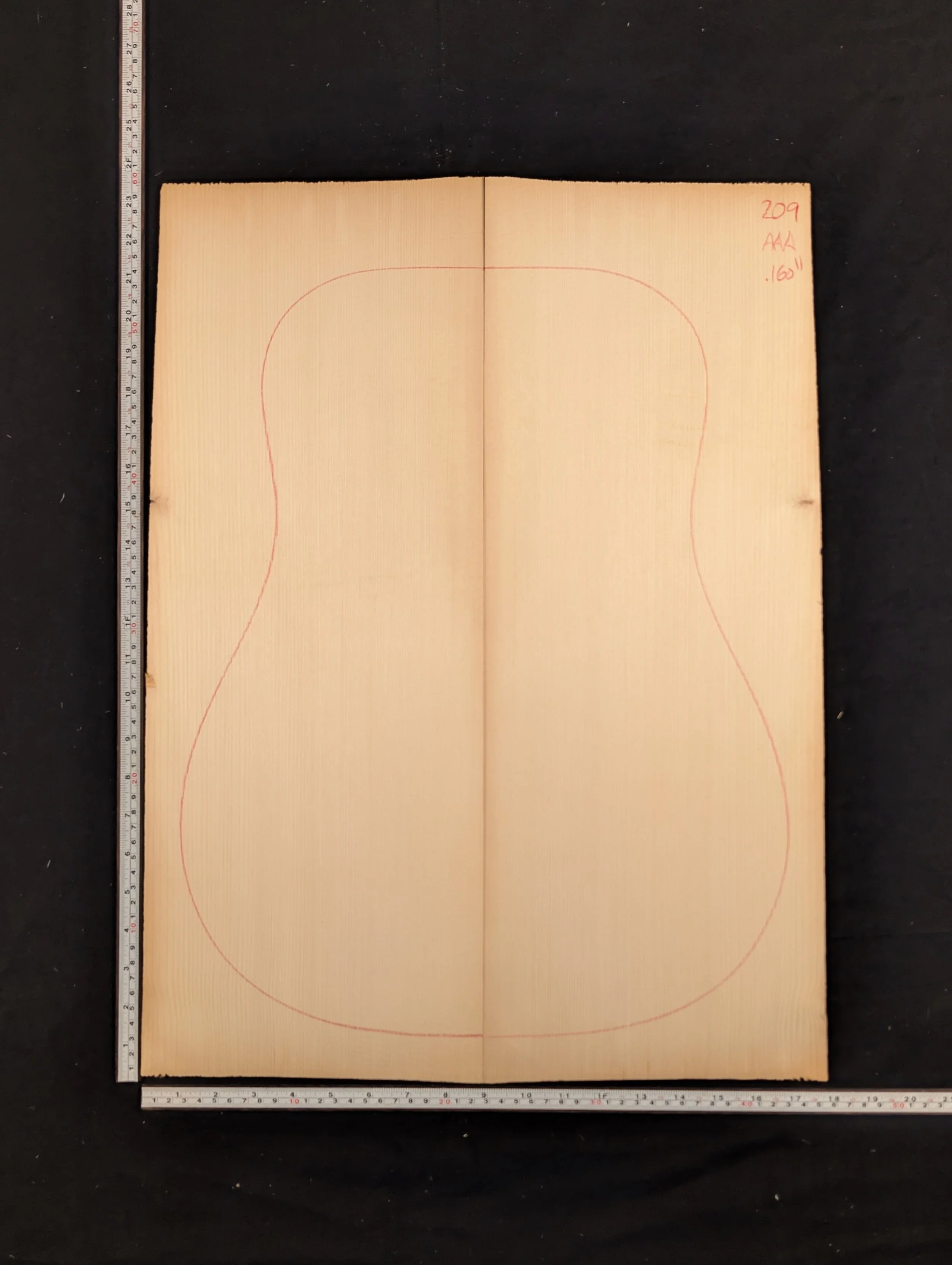 Carpathian Spruce 209