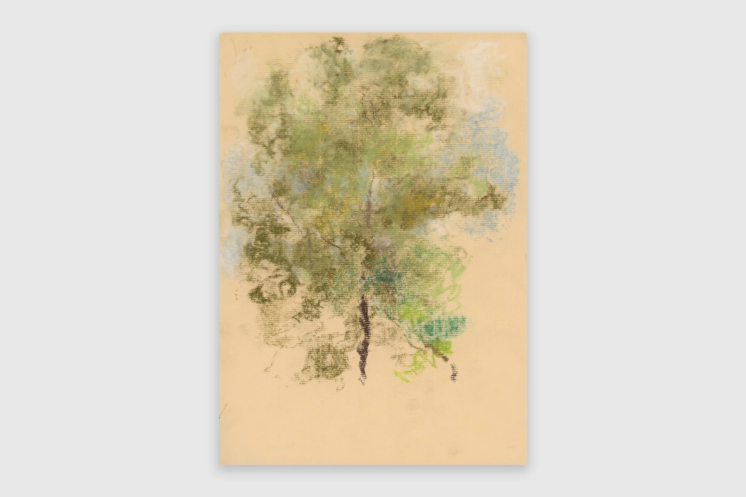 Lewis Brander in the 2026 Drawing Biennal 