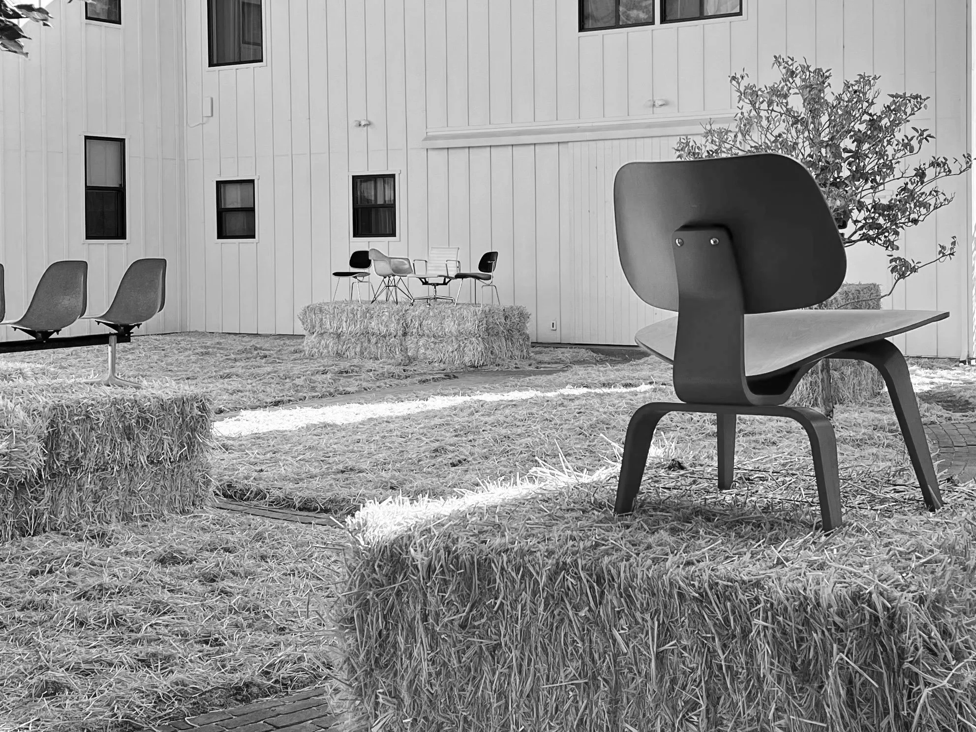Eames Ranch Courtyard Installation