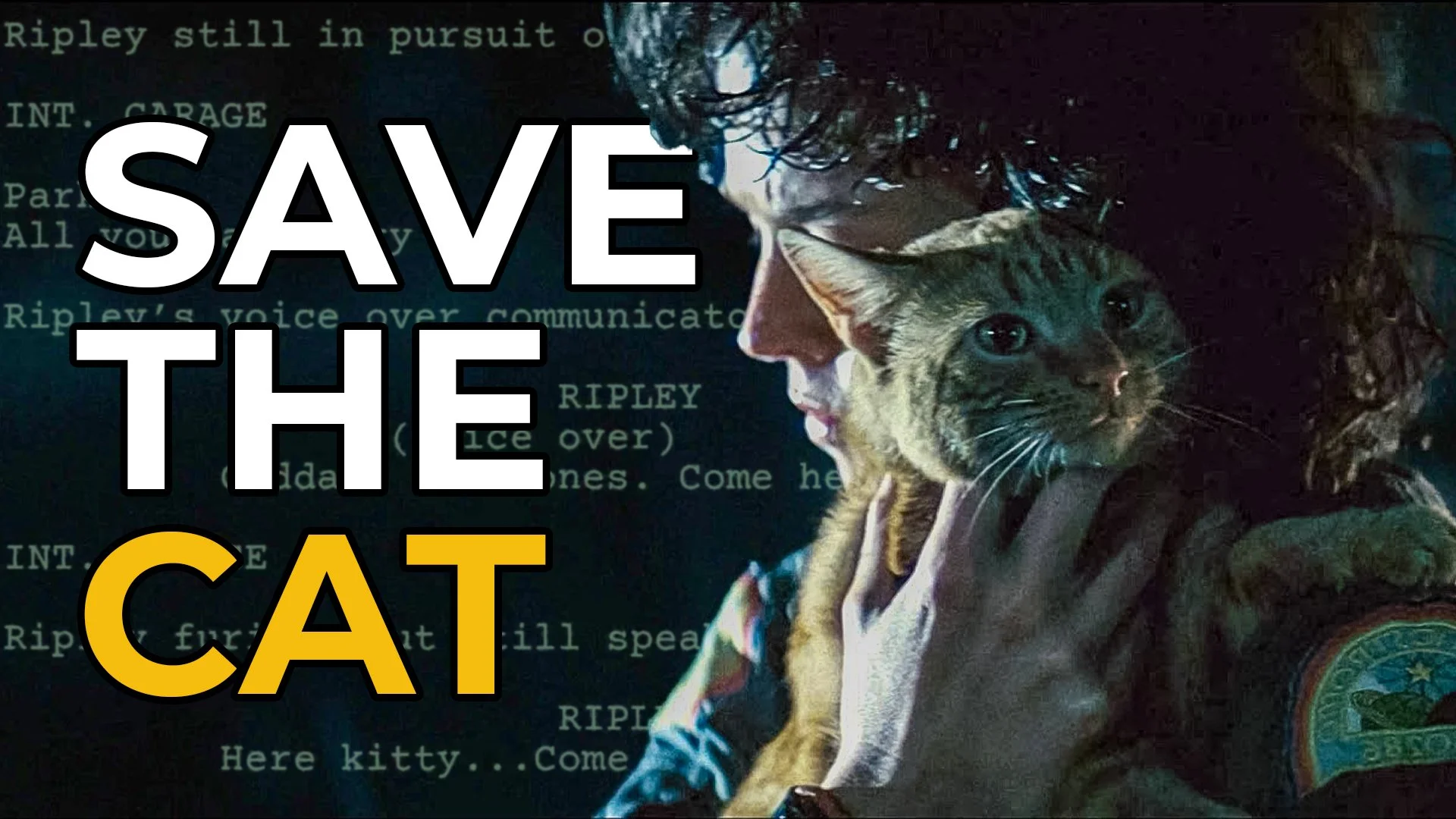 33 Save the Cat Thumb v1.0.jpg