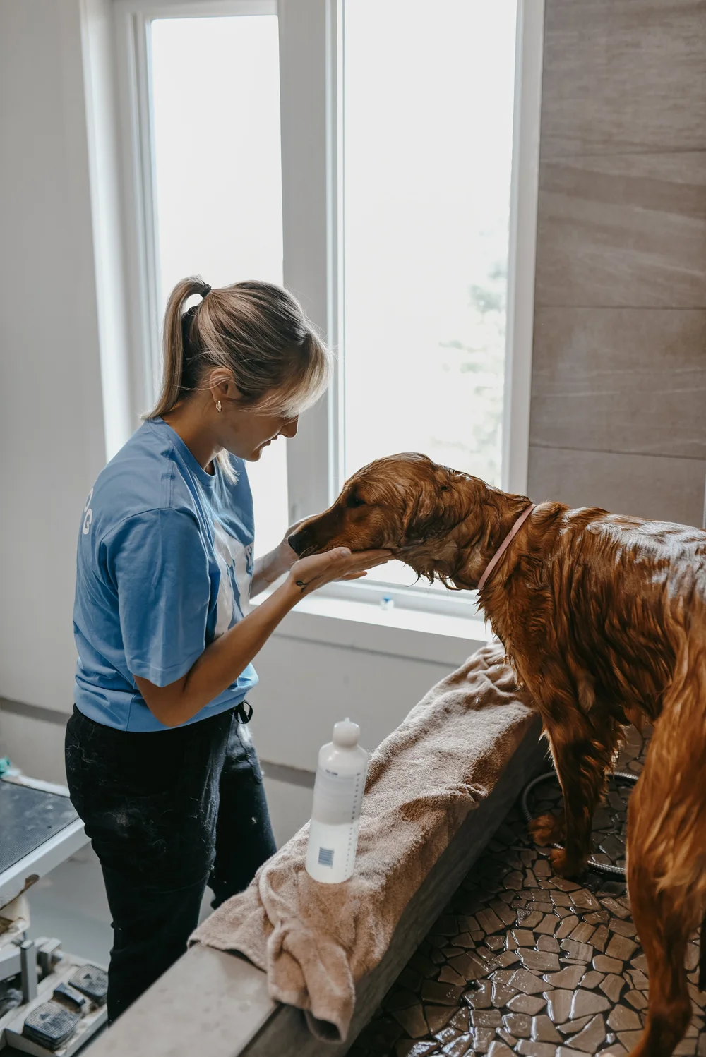 How Much Does a Dog Groomer Get Paid: Salary Insights