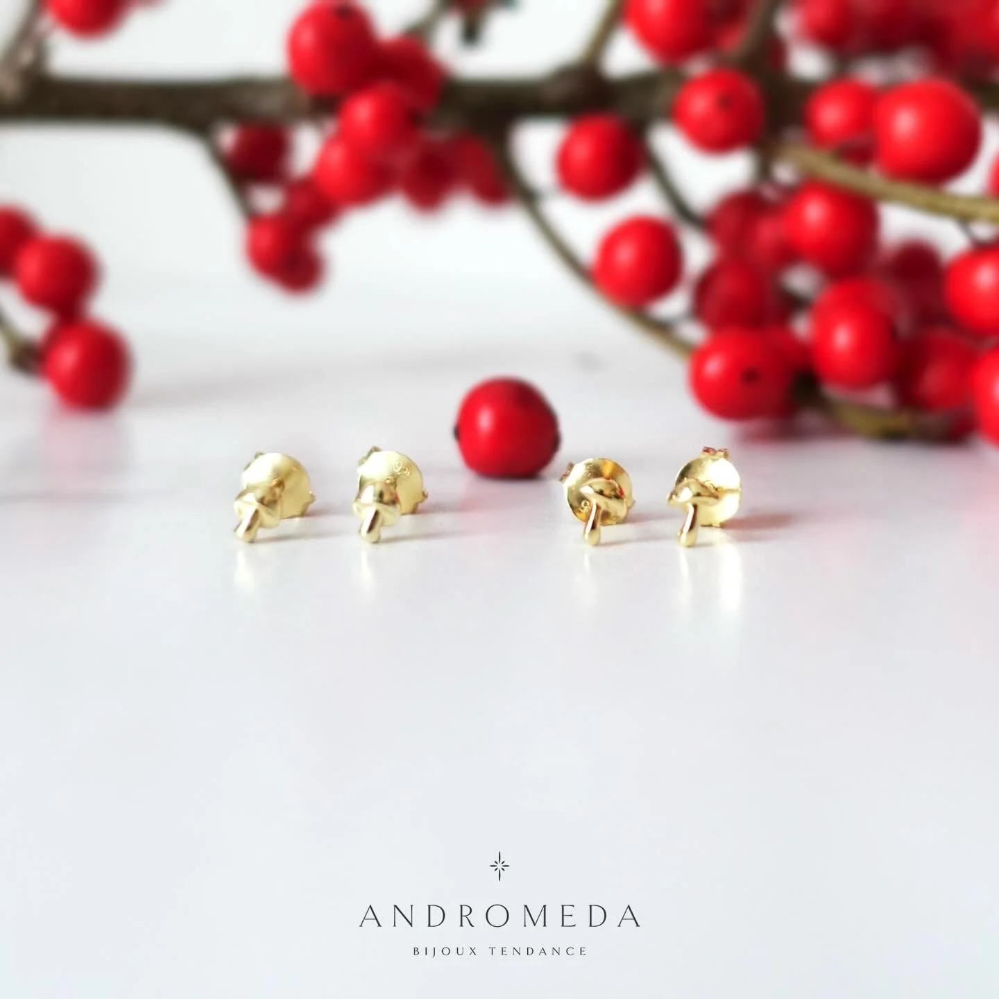 Deux type de puces d&rsquo;oreilles en forme de champignon. 🍄 🍄&zwj;🟫 Elles sont parfaites pour remplir les chaussettes  de No&euml;l 🎄 
&bull;
&bull;
&bull;
#bijouxtendance #bijouxfemme #bijouxdujour #bijouxfantaisie #etsyjewelry #jewelrygram #i