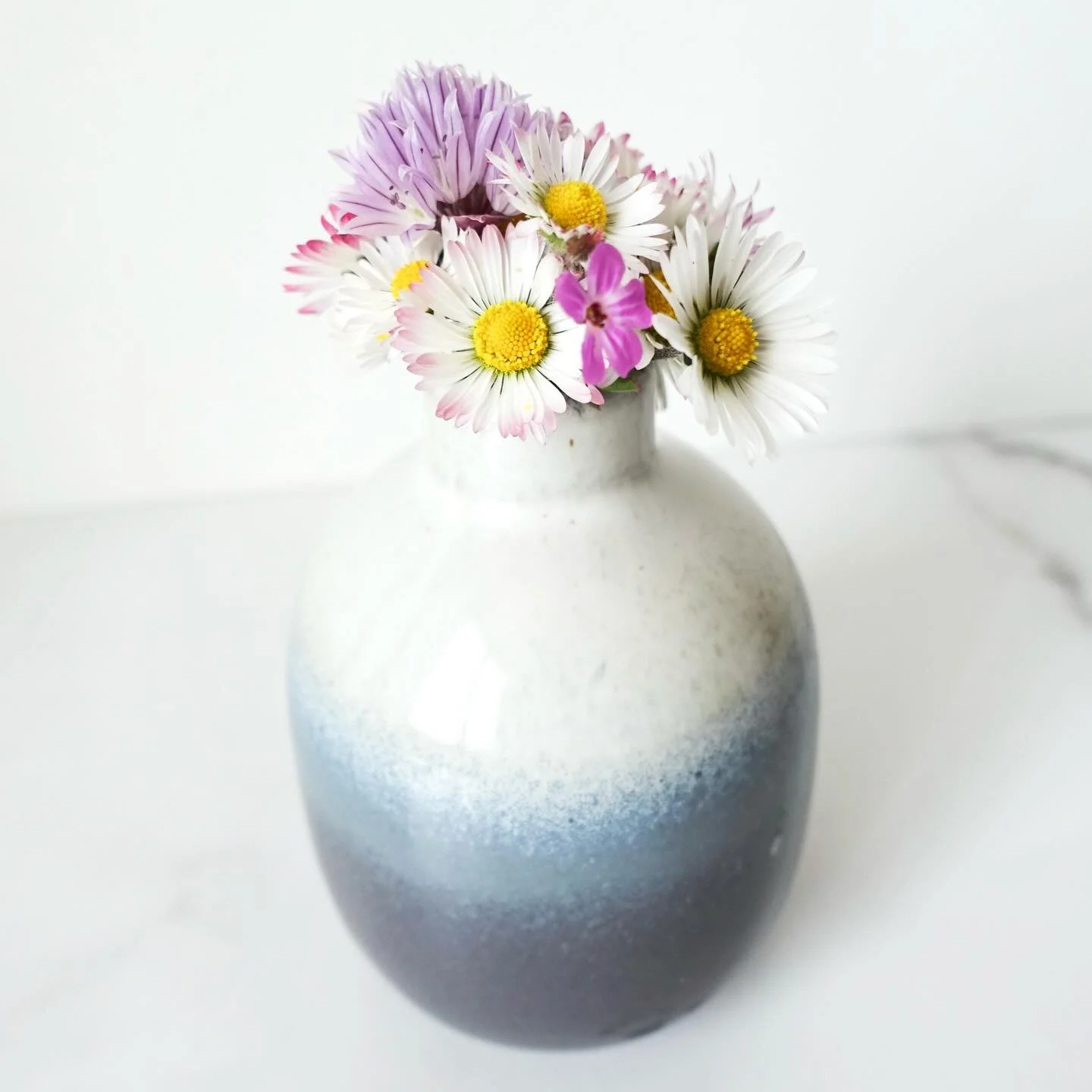 Wildflowers 💐 
#wildflowers #fleurssauvages