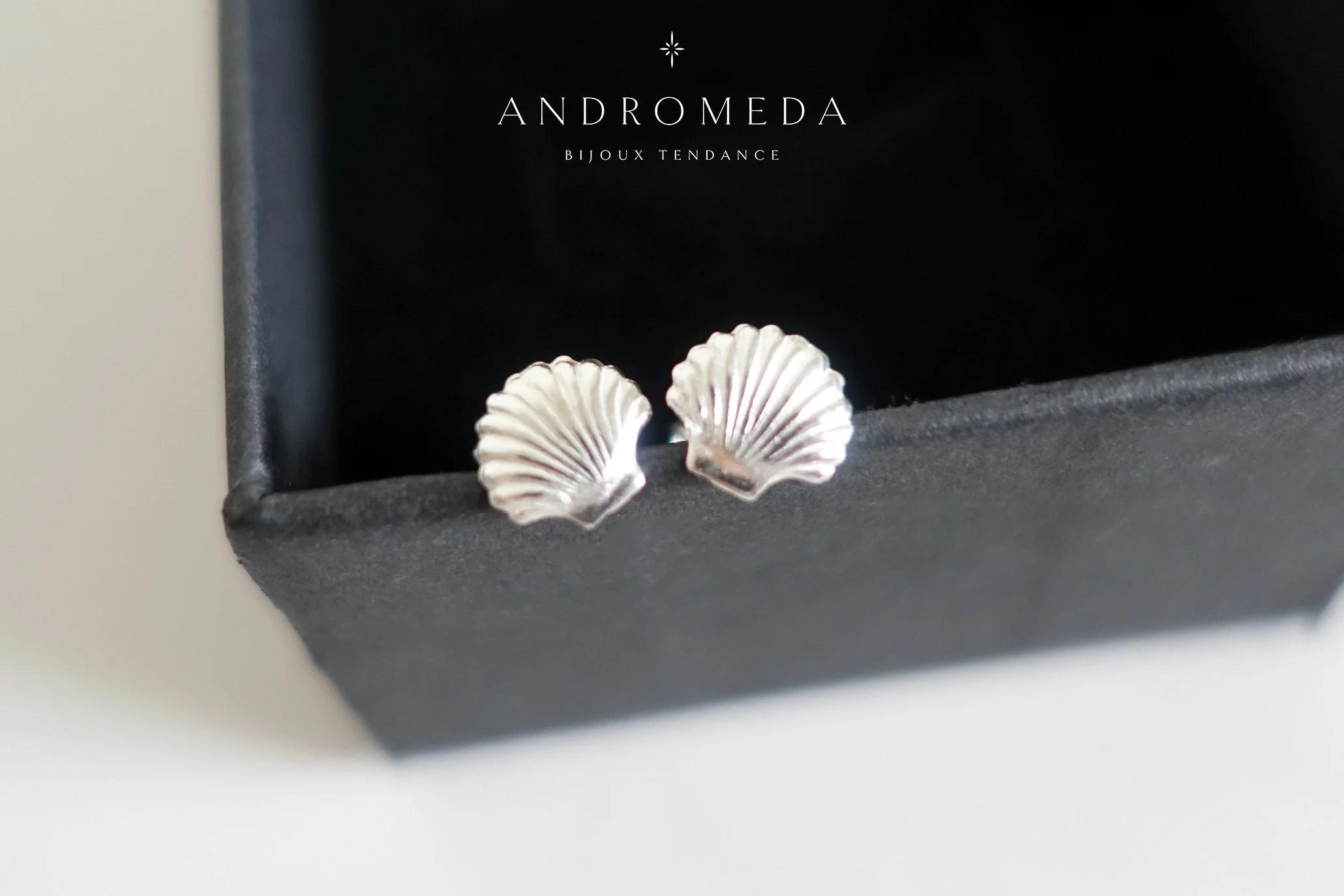 sea shell earrings ss black box.jpg