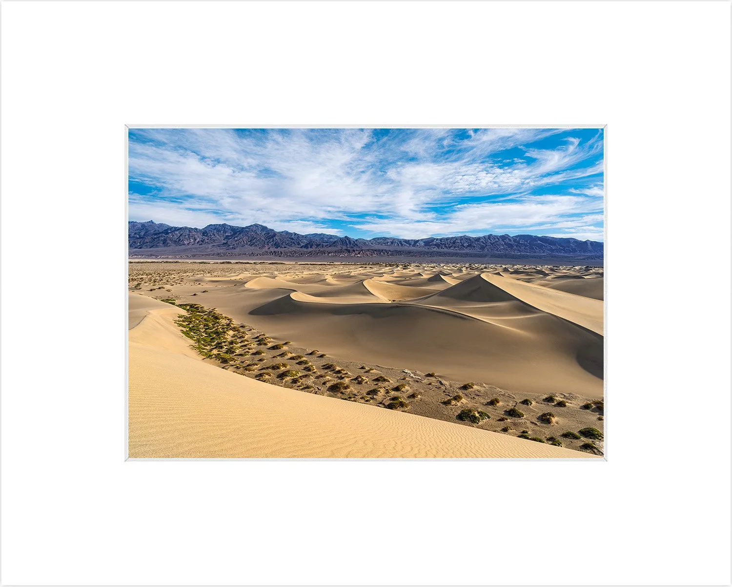 Mesquite-Flat-Sand-Dunes-8x10-Matted-Print.jpg