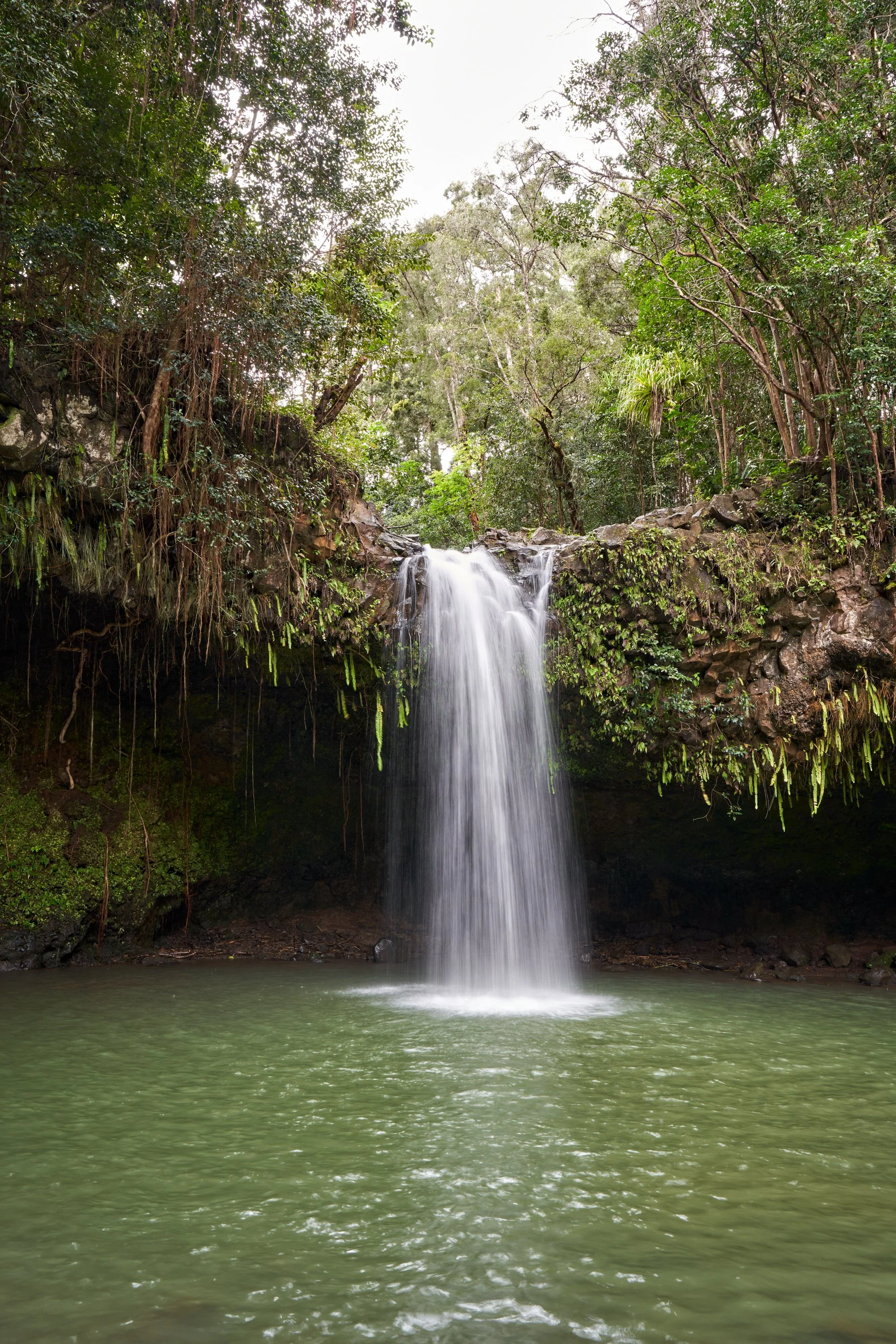 A waterfall flowing over rocks into a green pool in a lush forest.