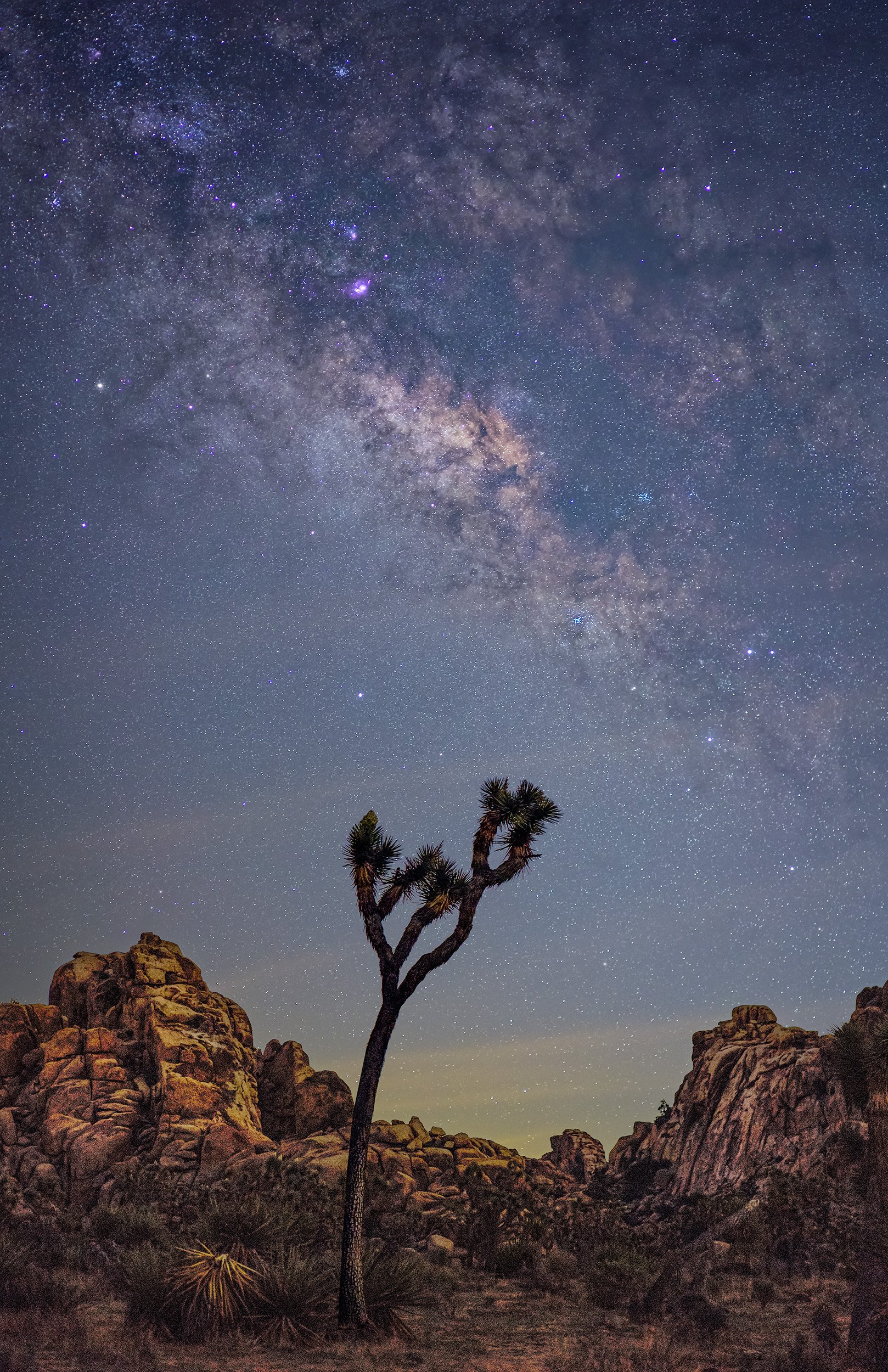 Milky Way core above Joshua Tree