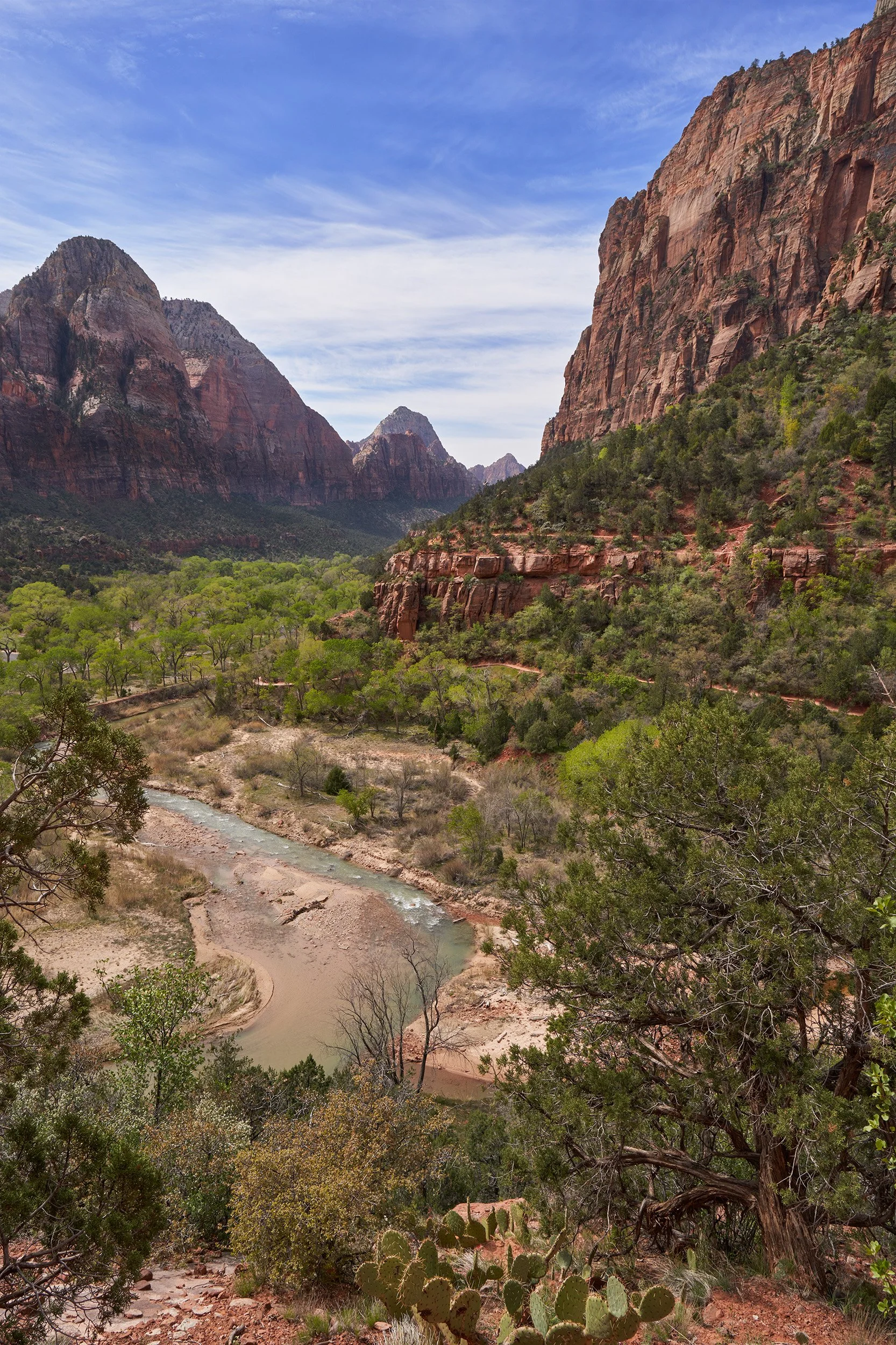 Scenic view of Zion National Park featuring tall red and brown sandstone cliffs, a green valley with trees, and a winding river flowing through the landscape.
