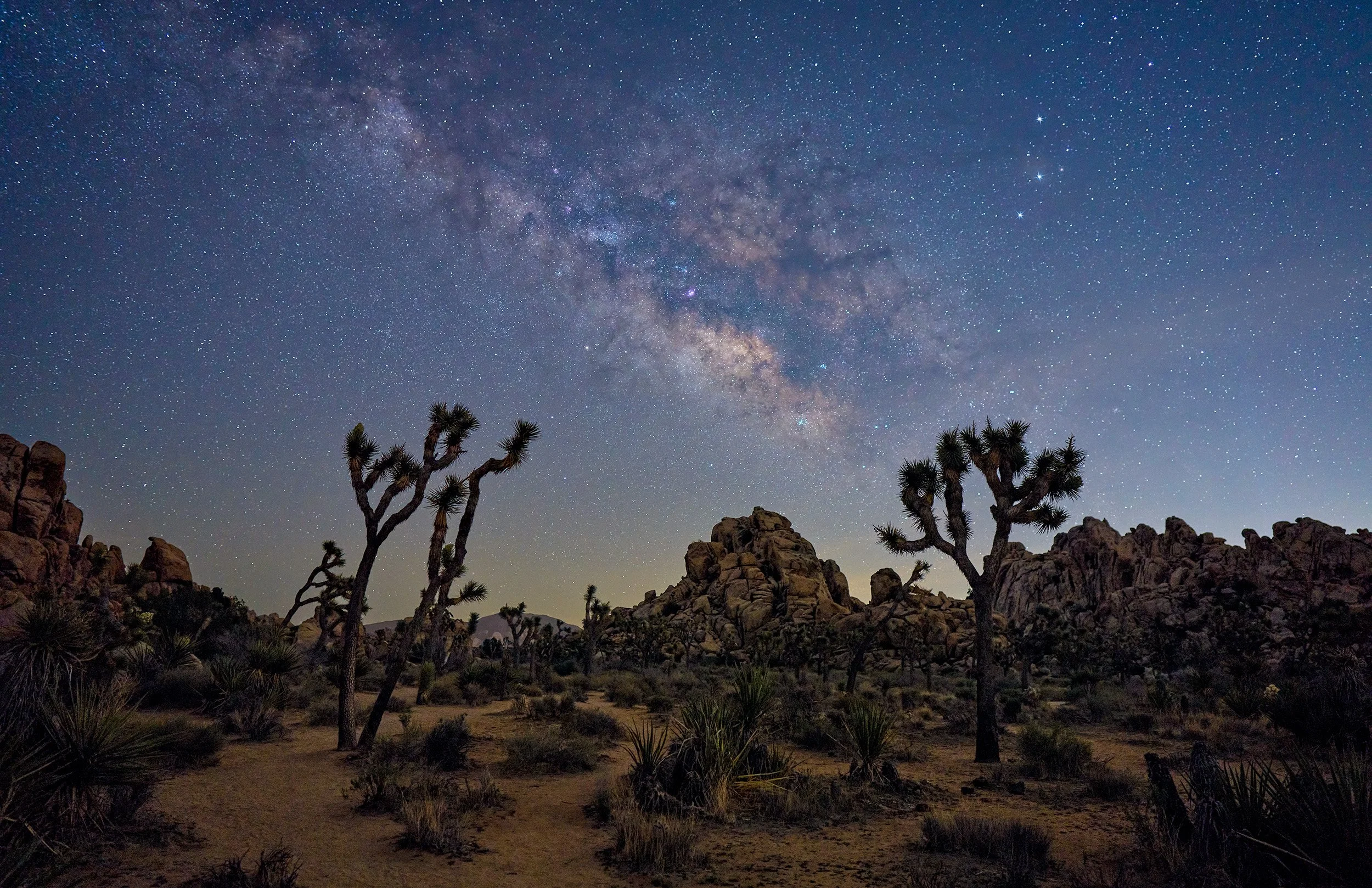 Milky Way Core at Joshua Tree National Park