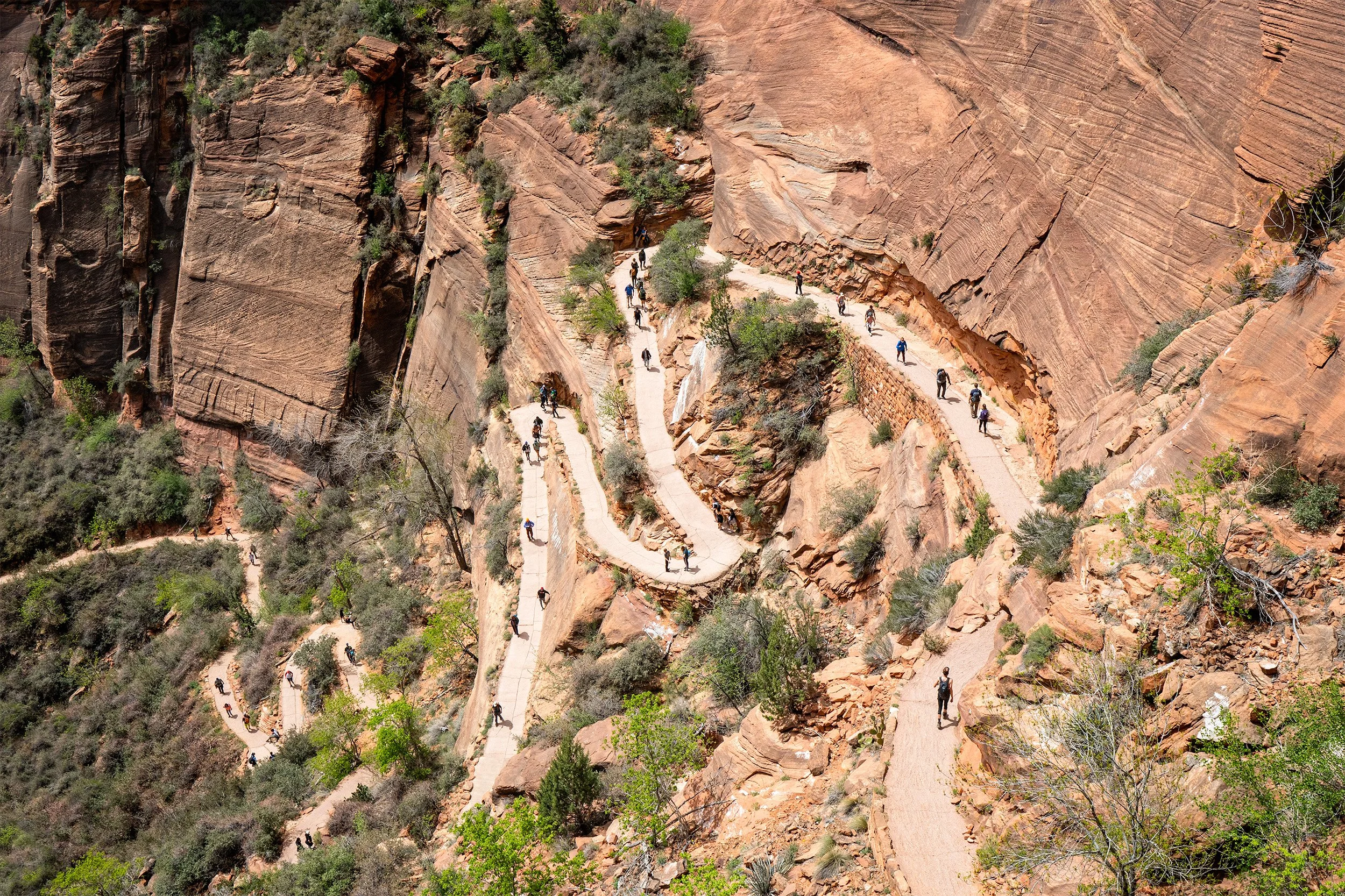 Trail to Angels Landing at Zion National Park
