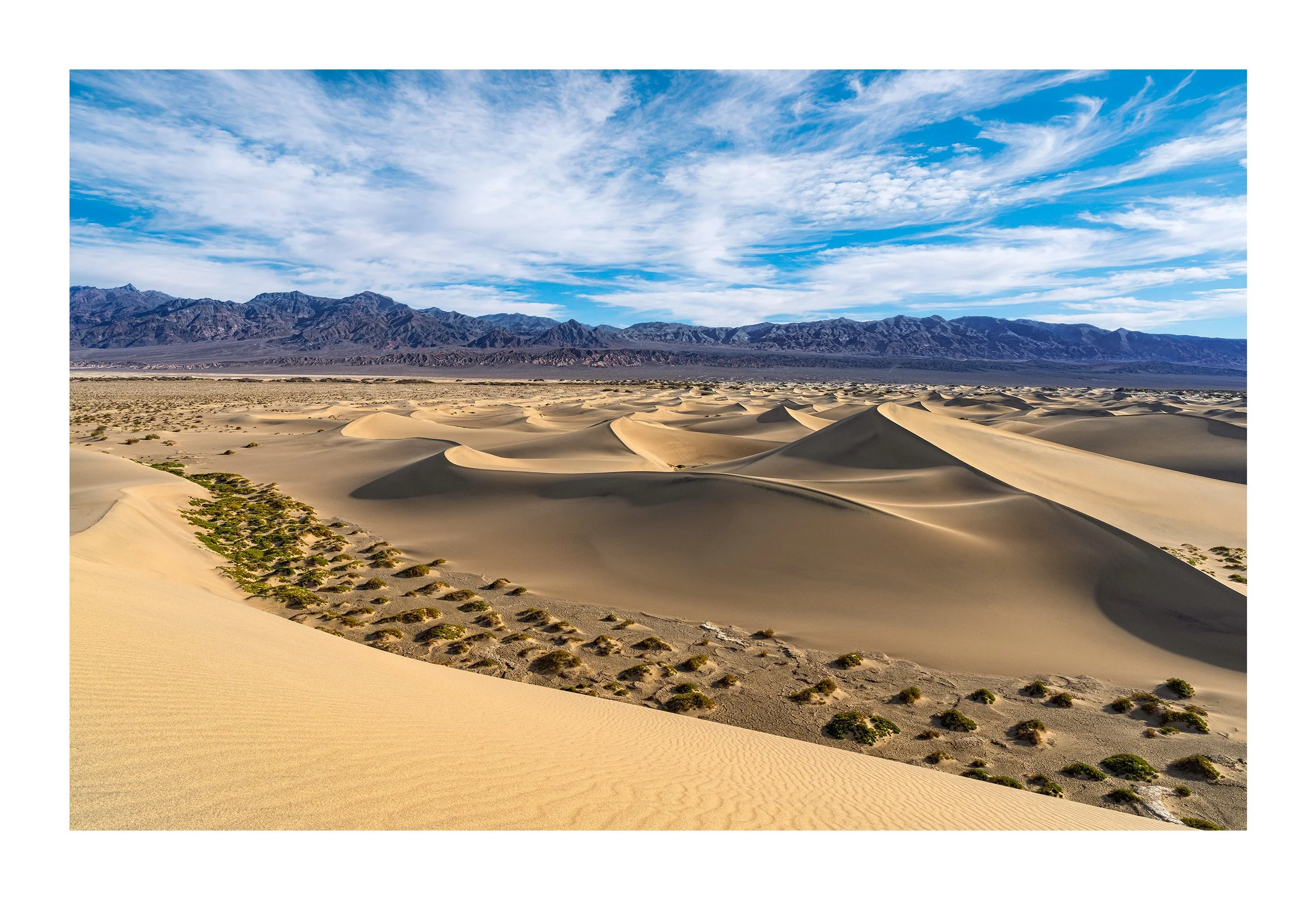 Mesquite-Flat-Sand-Dunes-11x17-Print.jpg