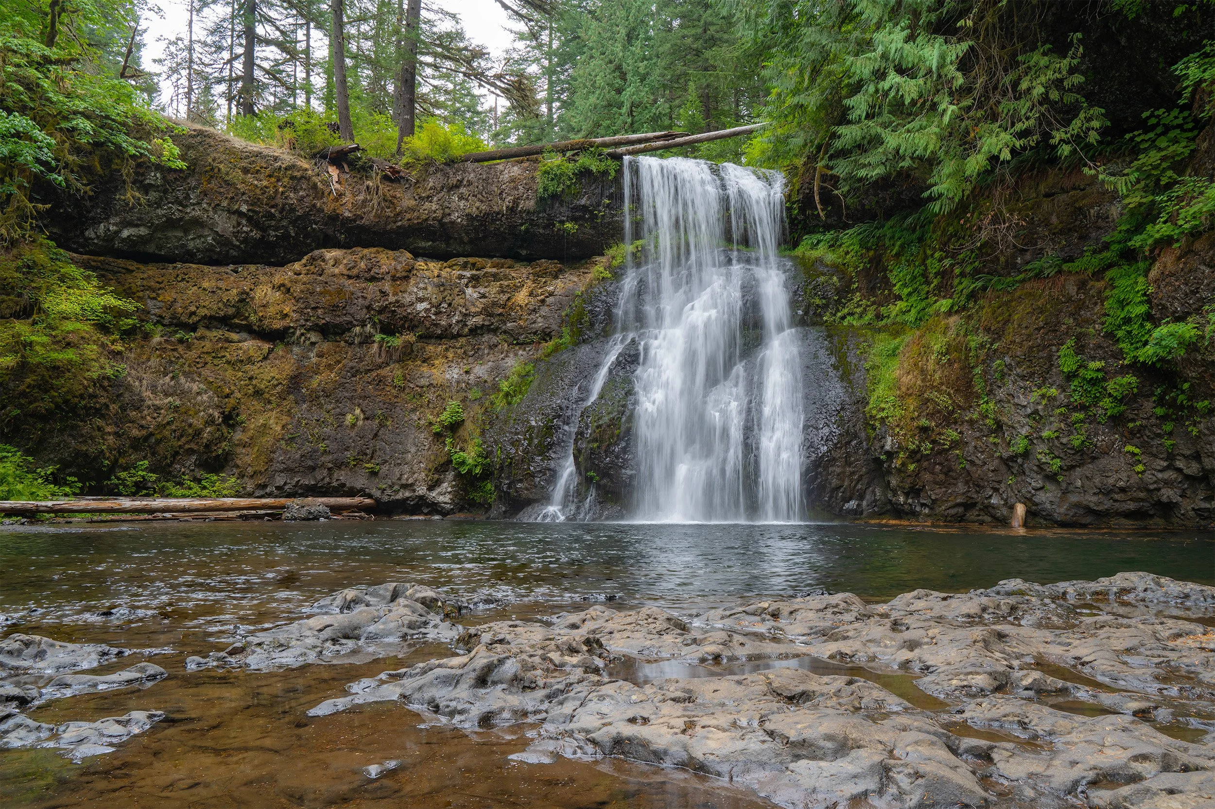 A small waterfall cascading down a rocky cliff into a pond below, surrounded by green trees and moss-covered rocks.