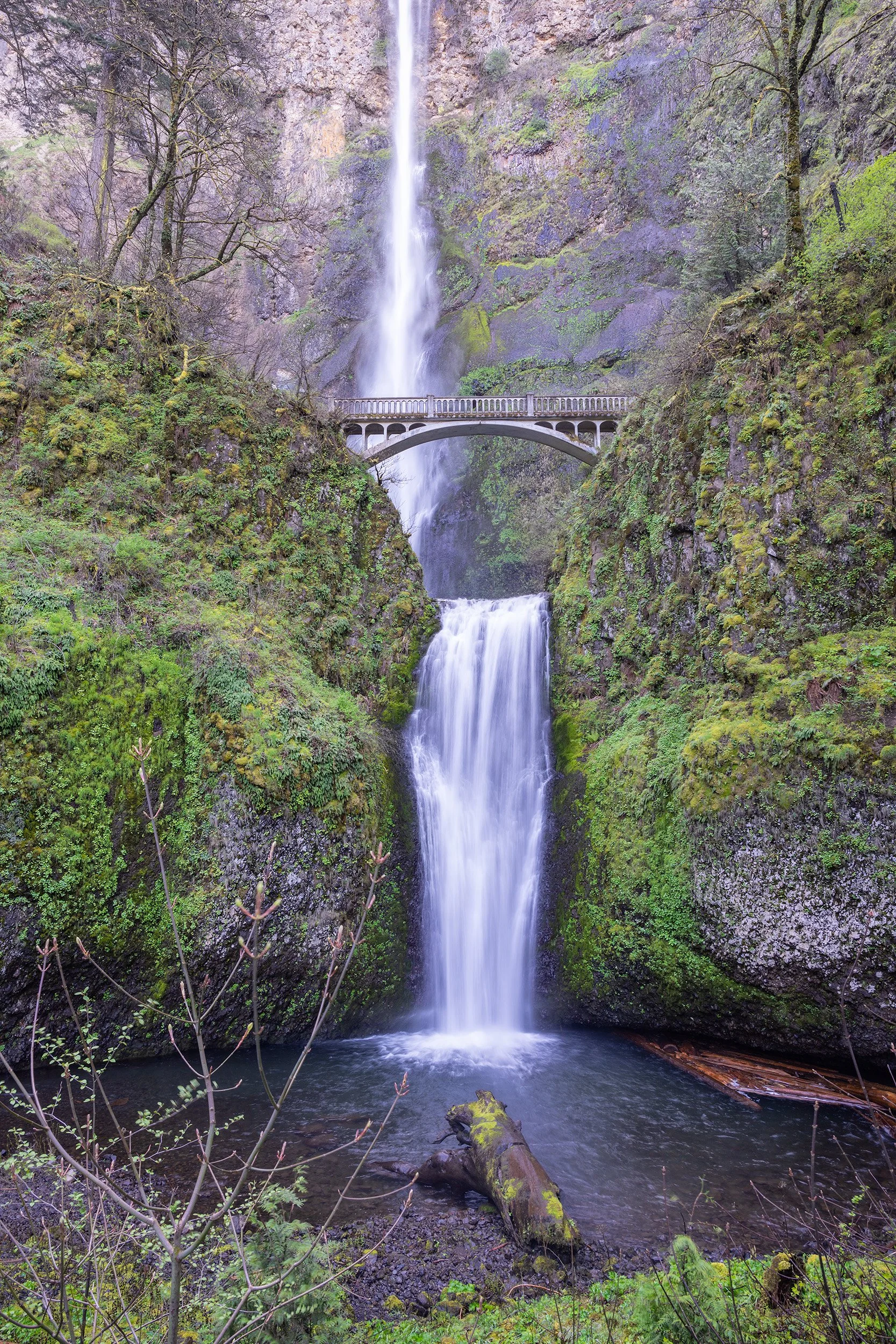 Multnomah Falls along the Columbia River Gorge in Oregon - 620-foot split waterfall down a rocky cliff surrounded by lush green moss and trees, with a stone bridge crossing the waterfall and a small pool at the base.