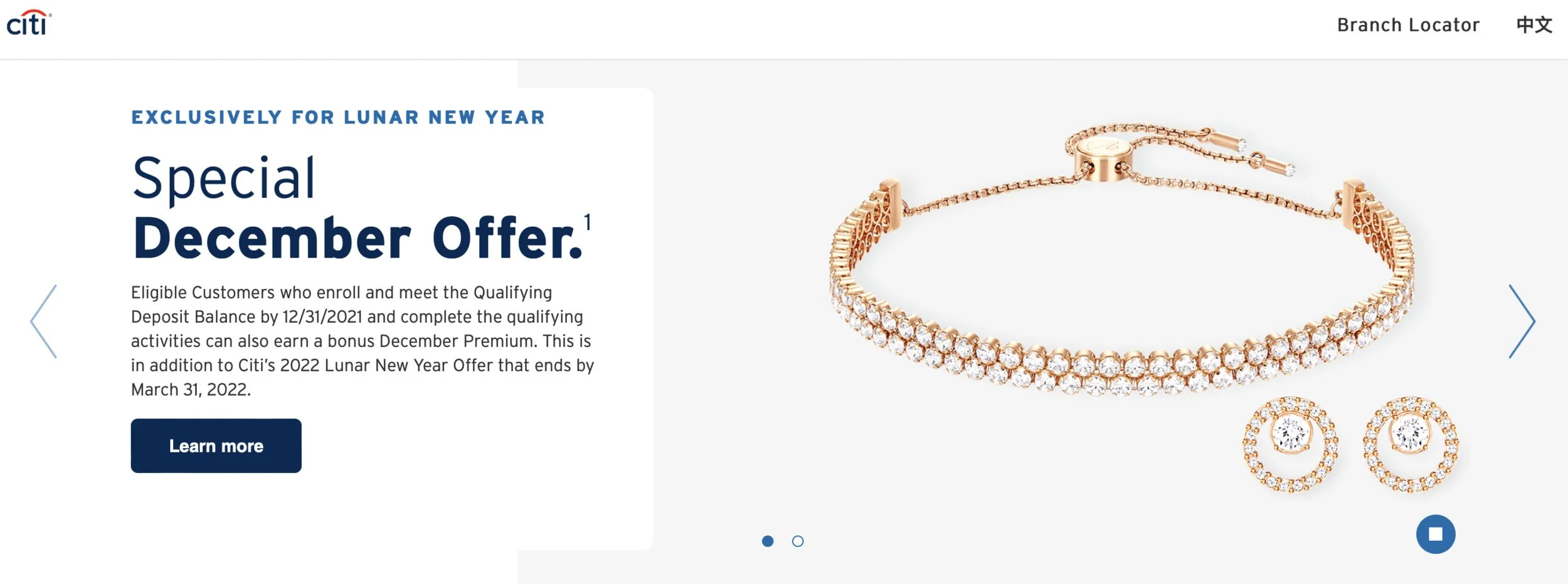 The Year of the Tiger - 2022