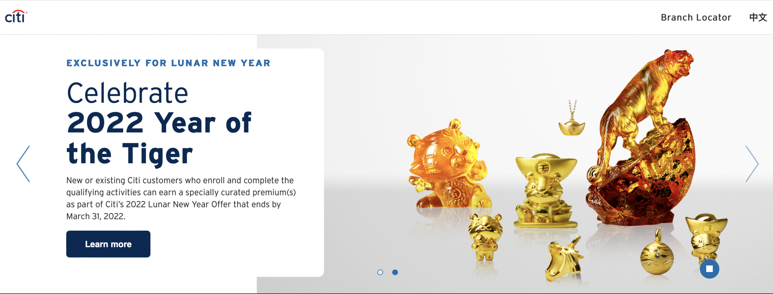 The Year of the Tiger - 2022