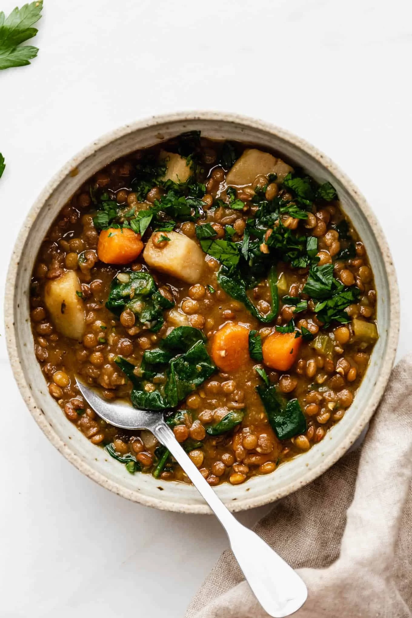 Cozy Winter Recipe: Healing Lentil &amp; Vegetable Stew 🥣