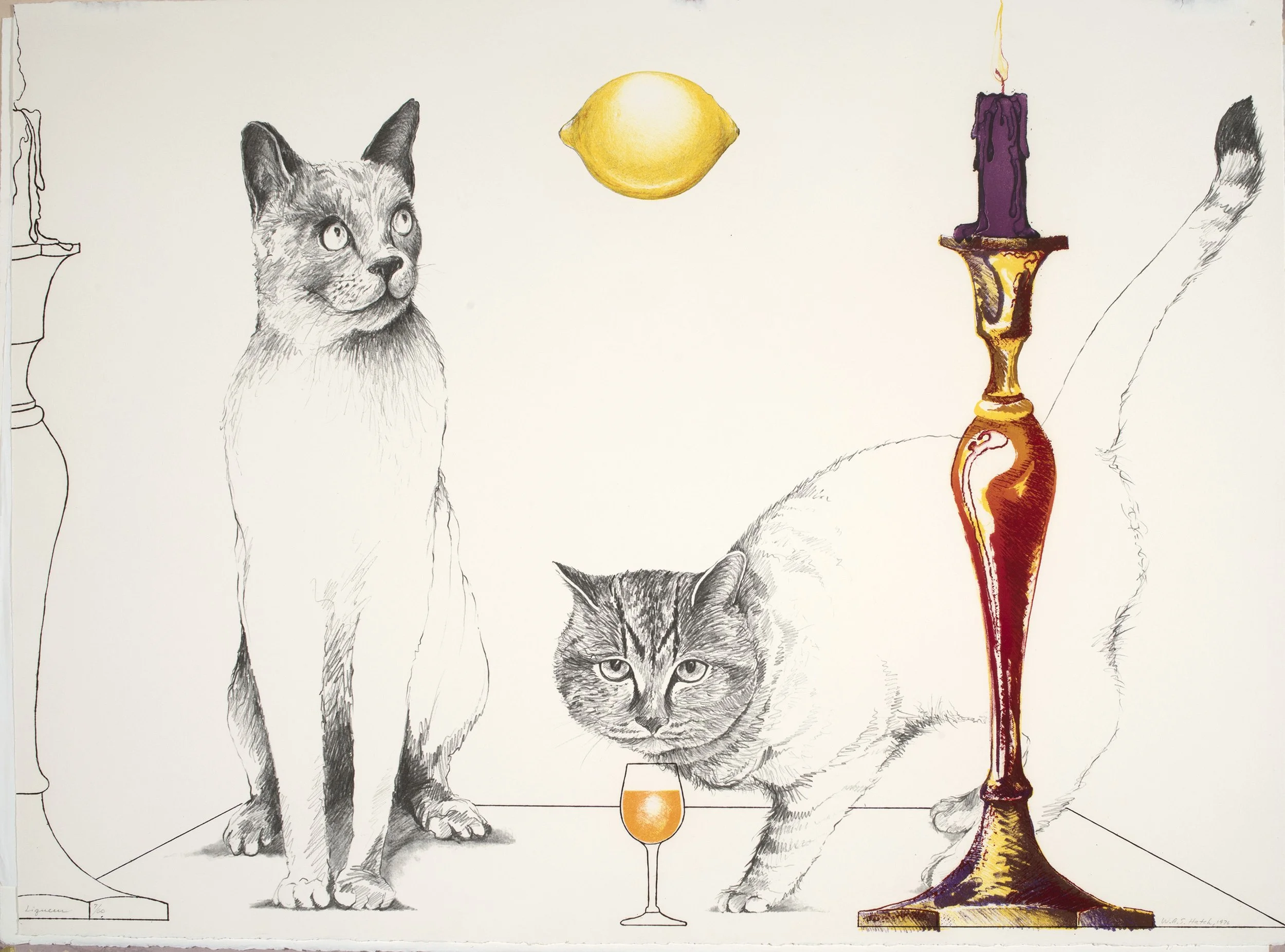 Liqueur | 1976 | mixed medium (offset lithography and etching) on arches paper | 22” x 30”