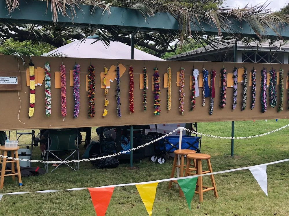 CameronTaylor-Brown_FiberHawaii9.jpeg