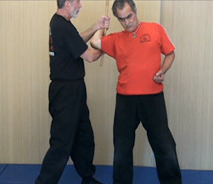BrownBelt_01_02.gif