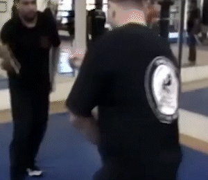 FTV_02_04.gif