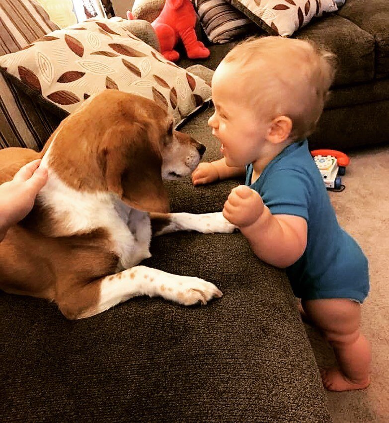 Let&rsquo;s talk about dogs and babies. Dogs are domesticated predators. Some dogs think babies are mad weird. Because let&rsquo;s face it, they are! They are loud. Can come off WAY to strong. They move&hellip;.oddly. Any one of these very natural ba