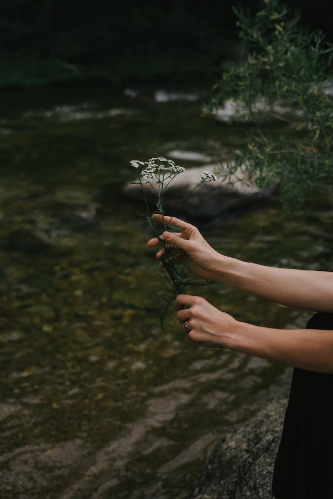 Person holding a small white flower near a river with rocks and green foliage in the background.