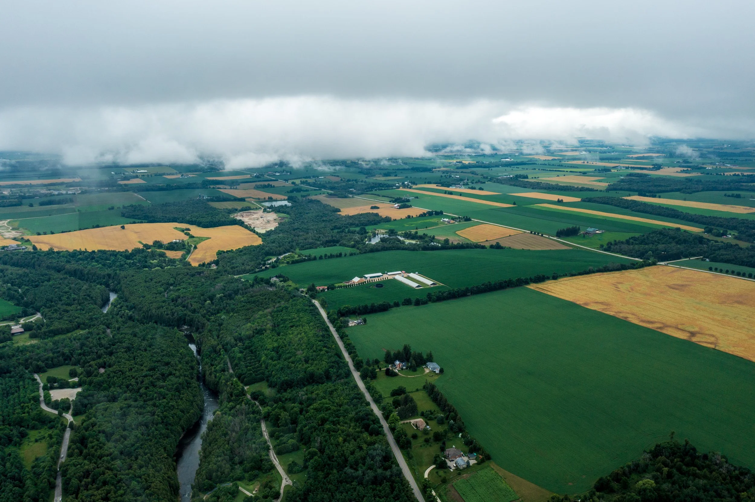 DJI_0811.jpg