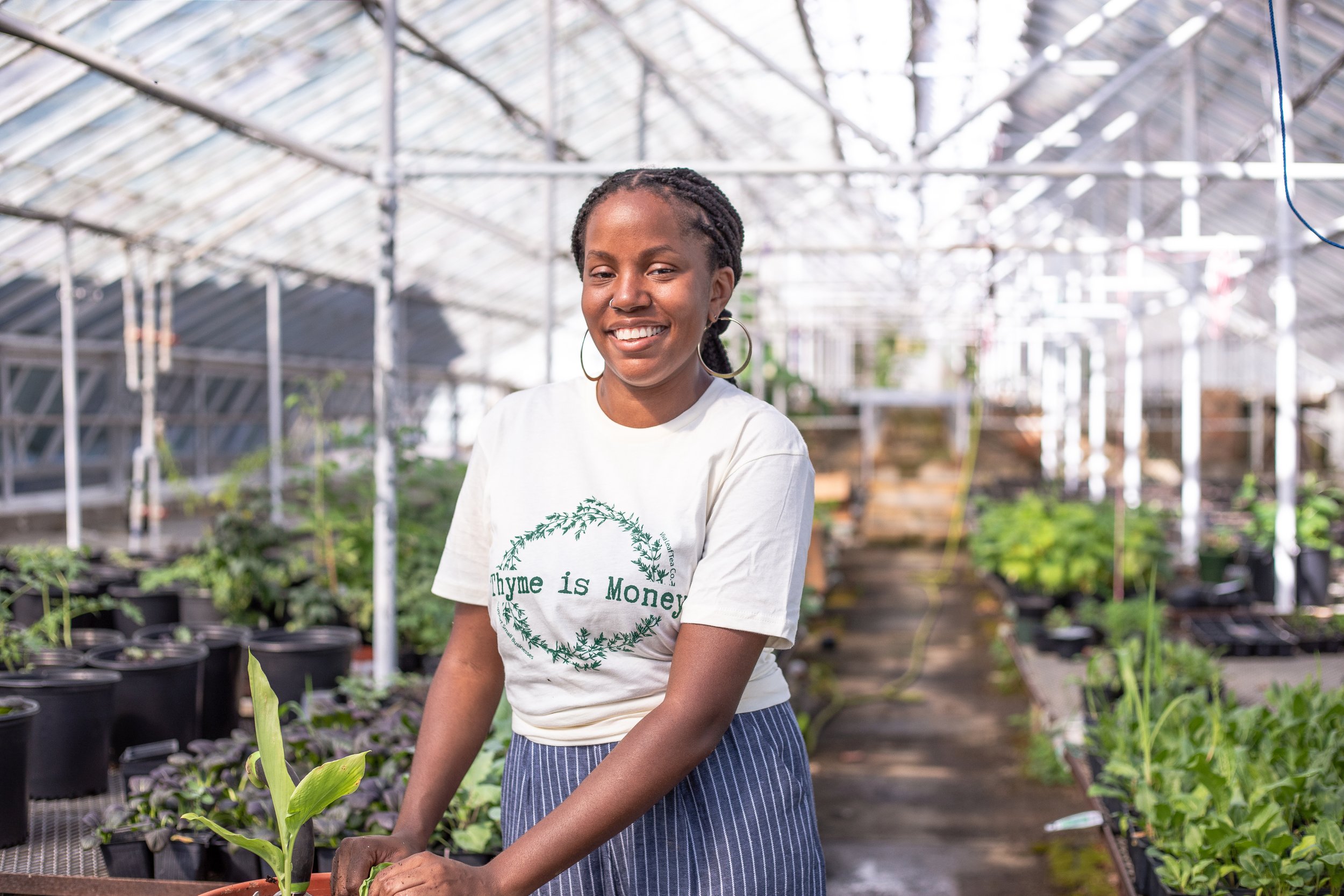 Viva_Leaf_Honey_Greenhouse-18.jpg