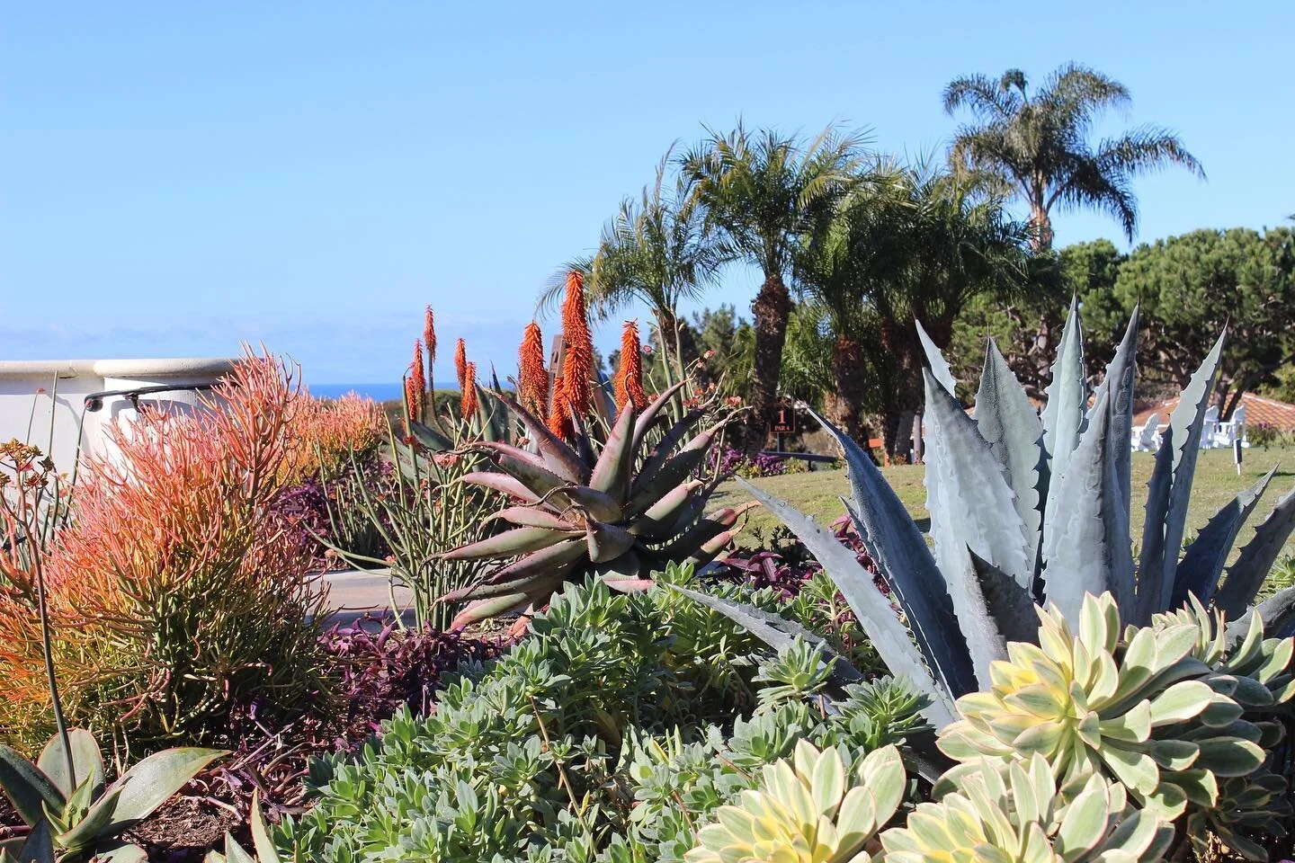 Celebrating our beautiful home this 🌎day! Koheid is committed to doing our part to preserve this planet for the future generations of living things by creating sustainable, water conscious and native plant focused landscape designs.