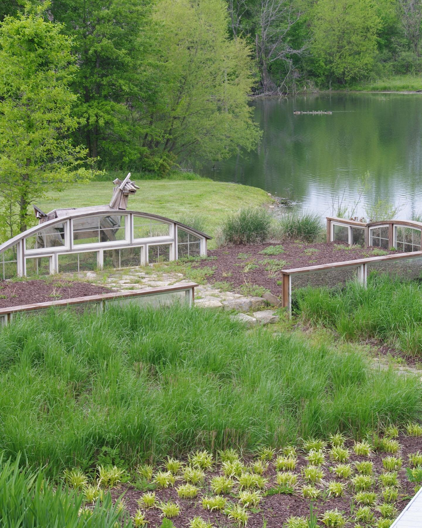 Wishing we were on summer vacation at this rural project in central Missouri. A window order gone bad turned into sculptural retaining walls to frame the view of the on-property pond. Reclaimed wood sculpture of the Buck is courtesy of our founder @t