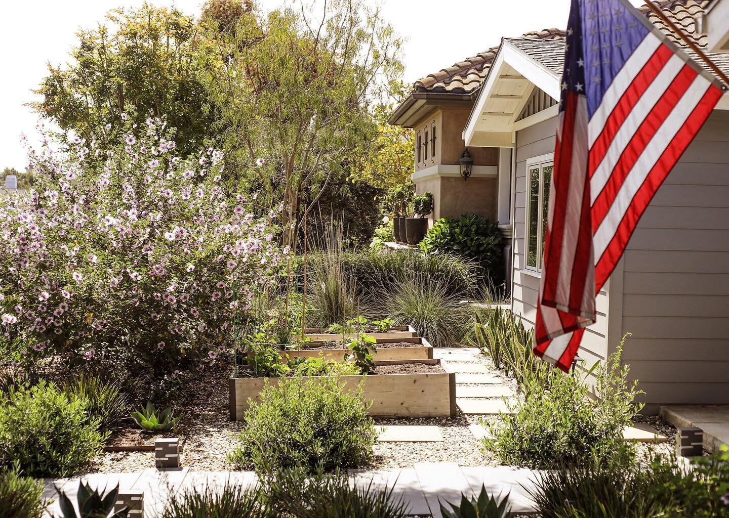 Koheid PSA: This weekend&rsquo;s temperatures are going to be 🔥🔥🔥. To keep your plants happy, especially if they are just getting established, you will want to do a 5 minute misting soak on evenings before the heatwaves hit. This will allow your p