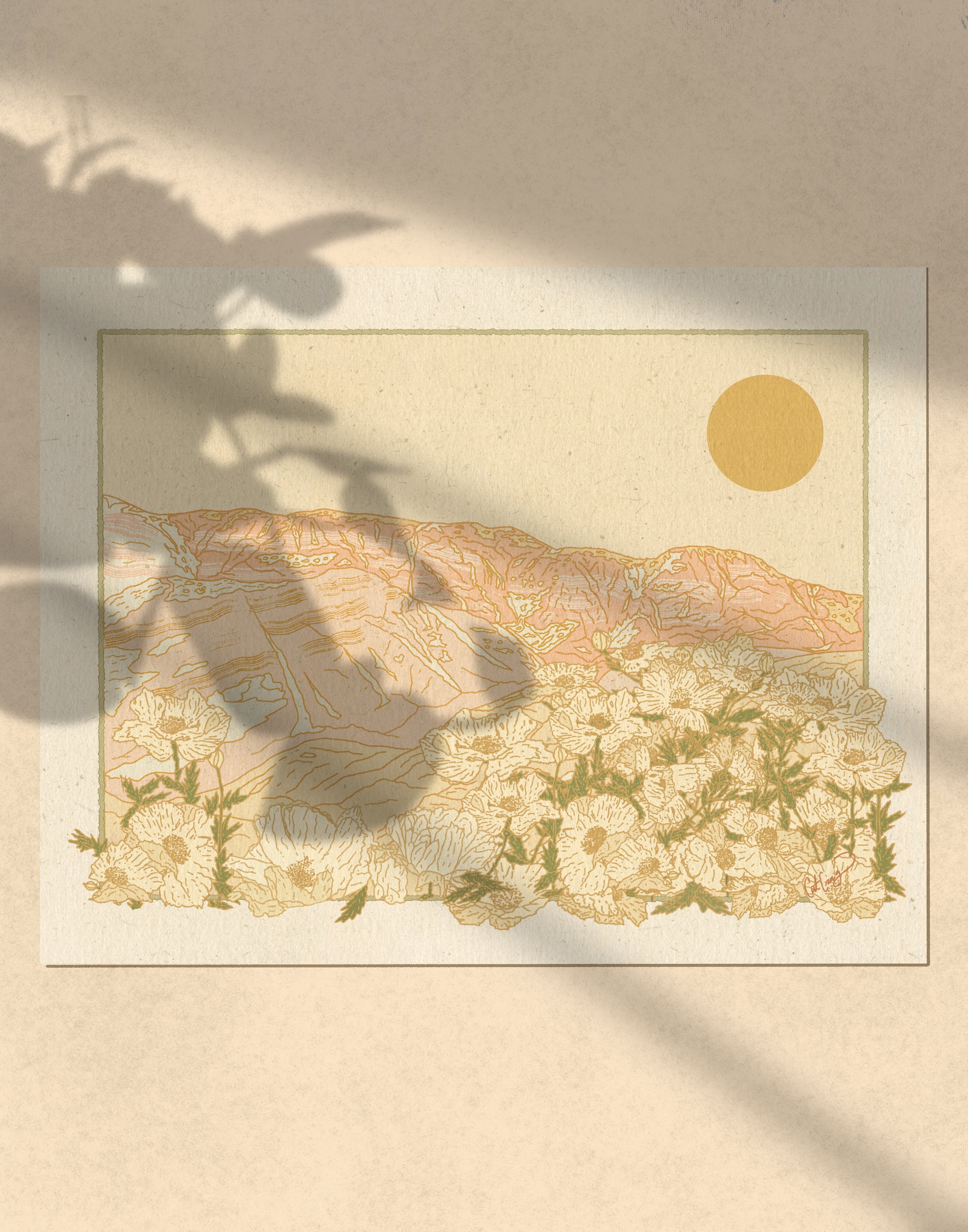 6DECB35D-DEC5-4707-9DFD-709C20F2B093.jpeg