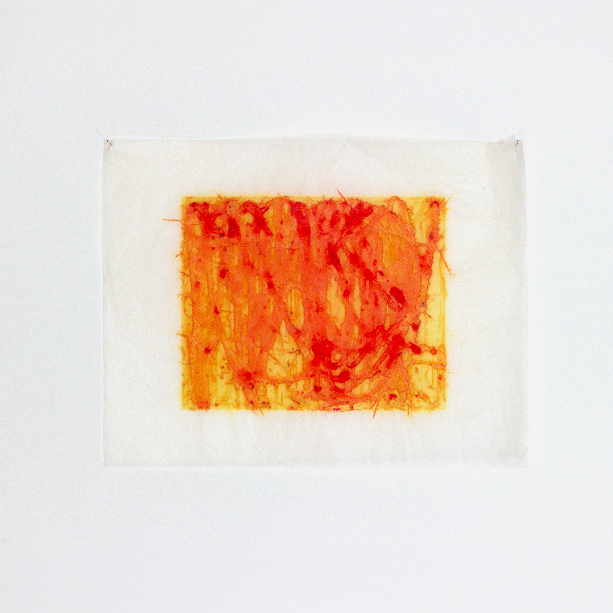 IMG_2944-reduced.png