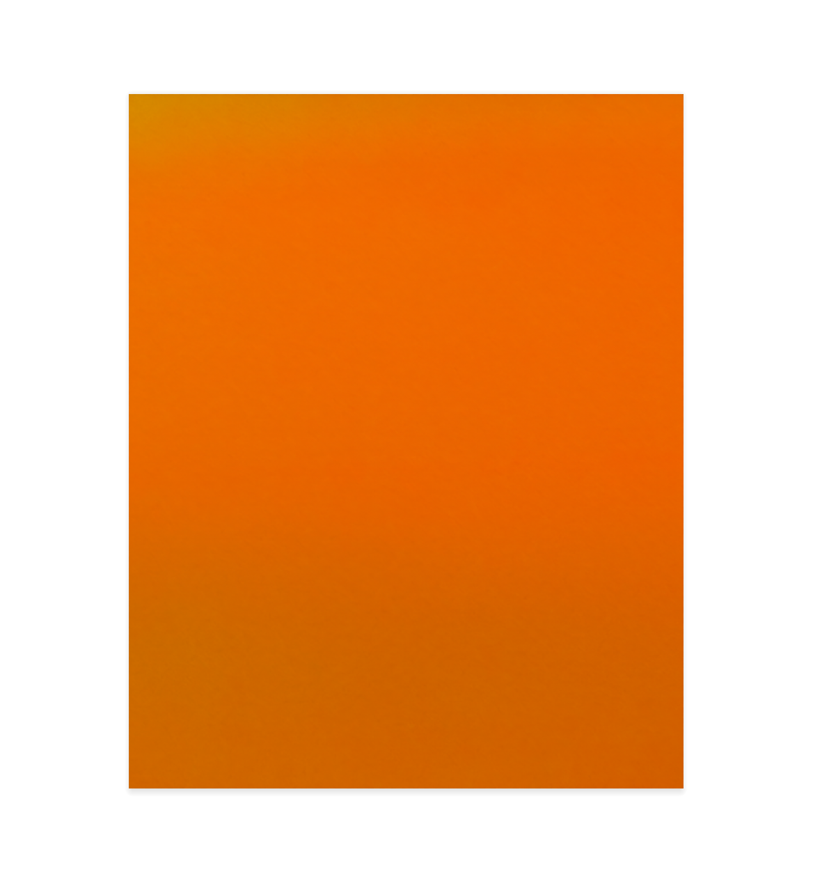 12121212.png